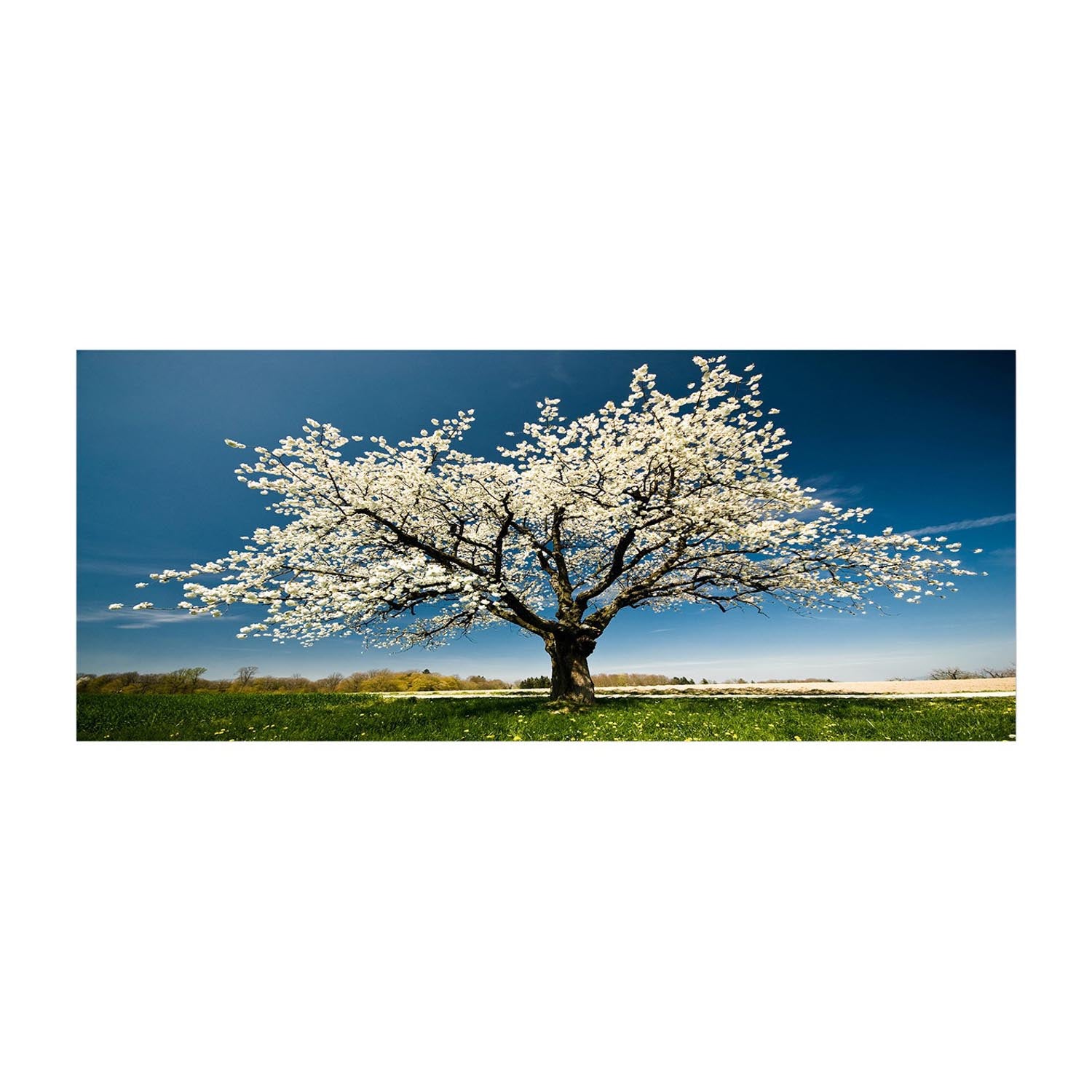 YTY1233464_50120 in Mehrfarbig präsentiert im Onlineshop von KAQTU Design AG. Bild ist von Wallity
