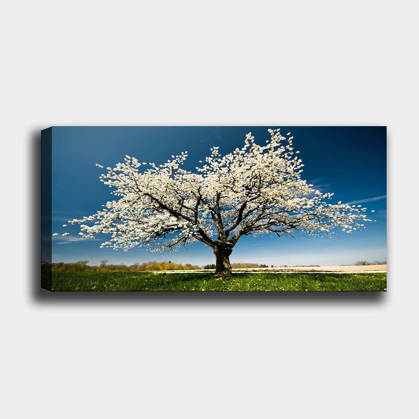 YTY1233464_50120 in Mehrfarbig präsentiert im Onlineshop von KAQTU Design AG. Bild ist von Wallity
