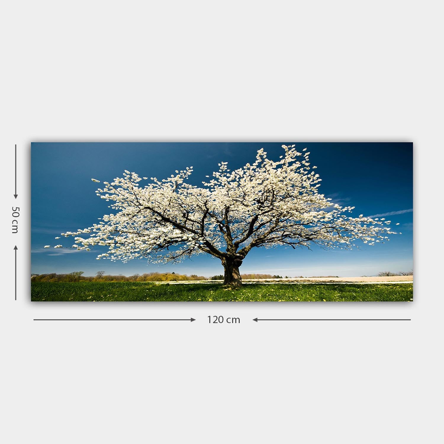 YTY1233464_50120 in Mehrfarbig präsentiert im Onlineshop von KAQTU Design AG. Bild ist von Wallity