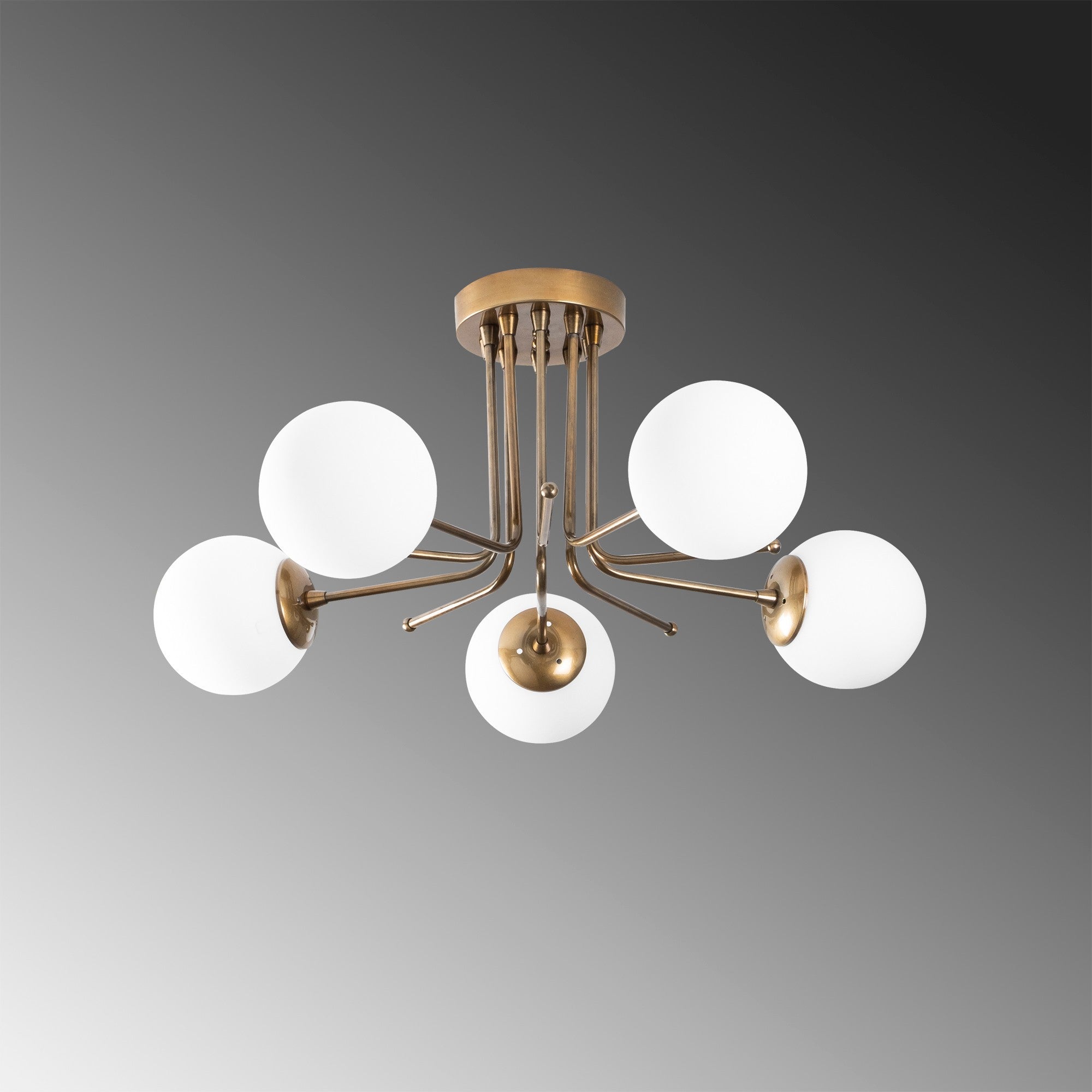 Daisy - 146-AV2 in Gold
 Weiss präsentiert im Onlineshop von KAQTU Design AG. Pendelleuchte ist von Opviq