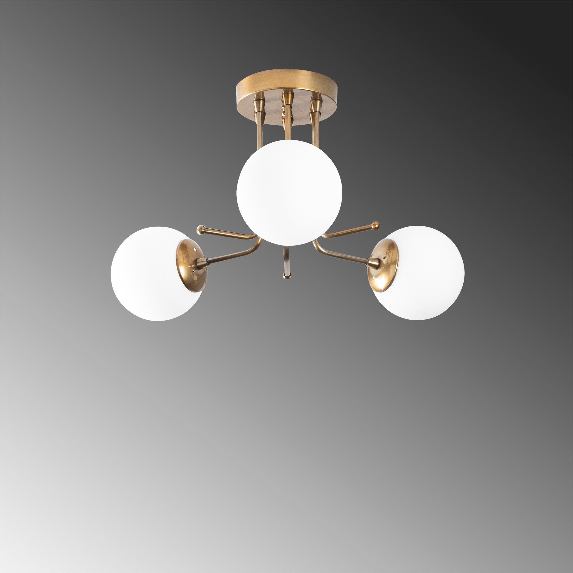 Daisy - 146-AV3 in Gold
 Weiss präsentiert im Onlineshop von KAQTU Design AG. Deckenleuchte ist von Opviq