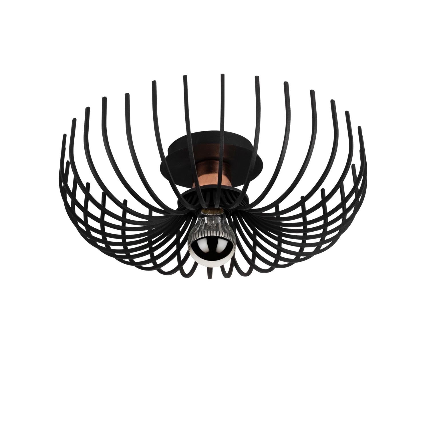 Aspendos - N-641 in Schwarz präsentiert im Onlineshop von KAQTU Design AG. Pendelleuchte ist von Opviq