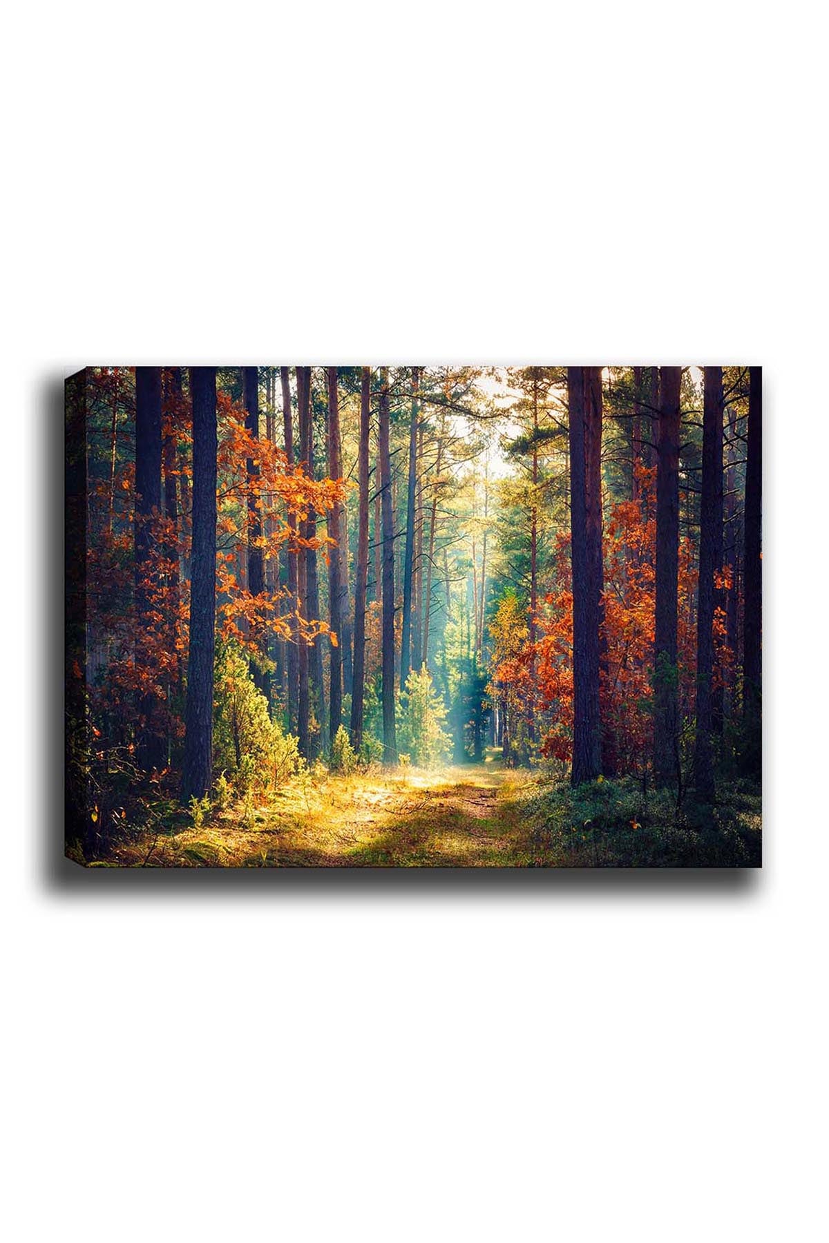 Kanvas Tablo (50 x 70) - 274 in Mehrfarbig präsentiert im Onlineshop von KAQTU Design AG. Bild ist von Wallity