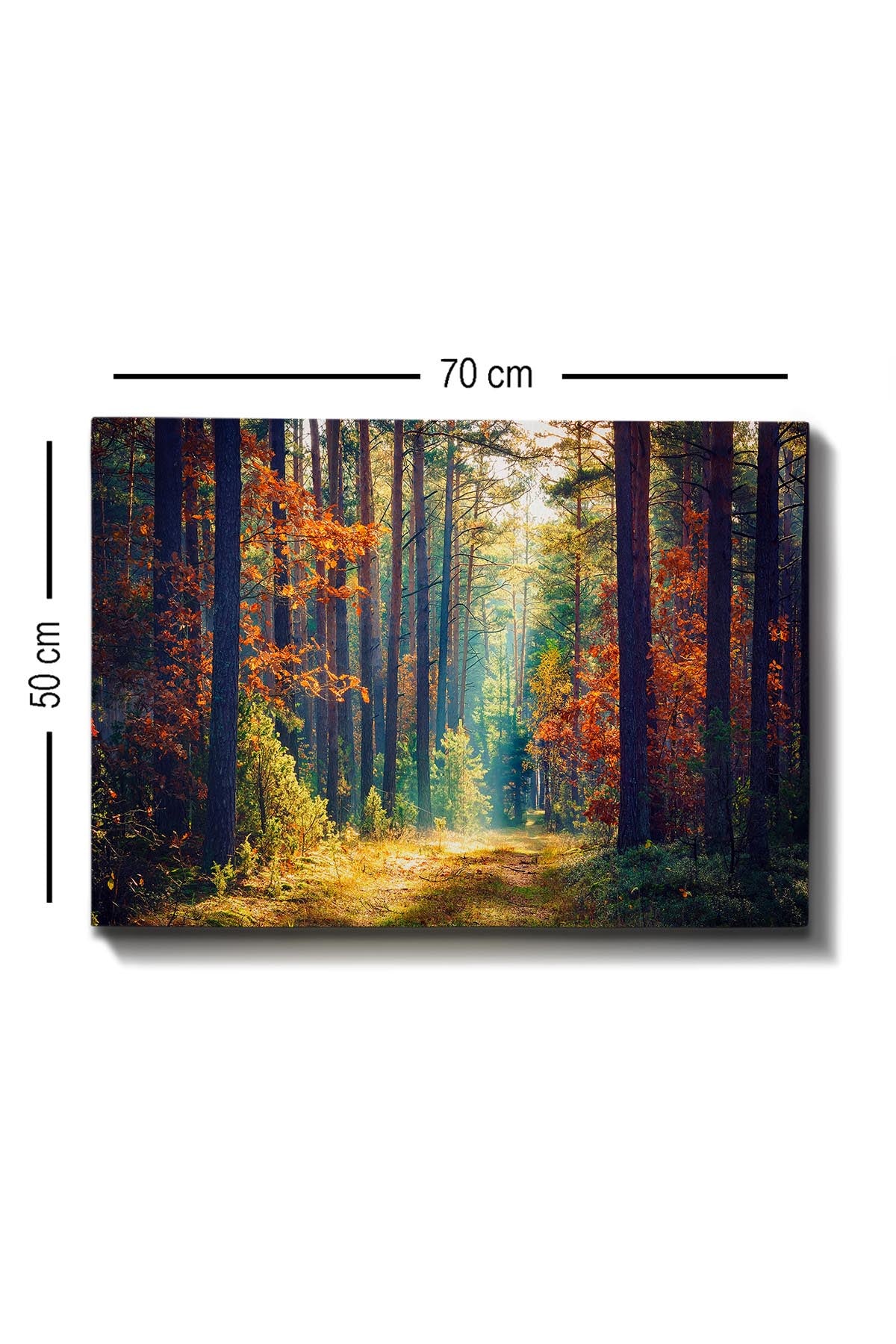 Kanvas Tablo (50 x 70) - 274 in Mehrfarbig präsentiert im Onlineshop von KAQTU Design AG. Bild ist von Wallity