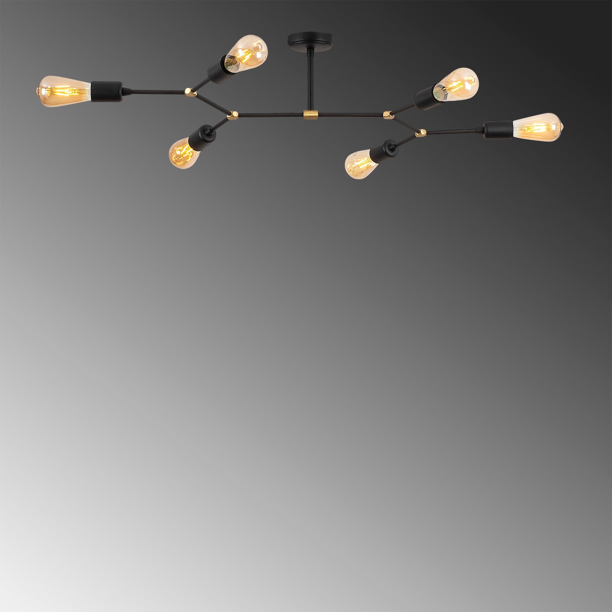 Sparrow - 1242 in Schwarz präsentiert im Onlineshop von KAQTU Design AG. Deckenleuchte ist von Opviq