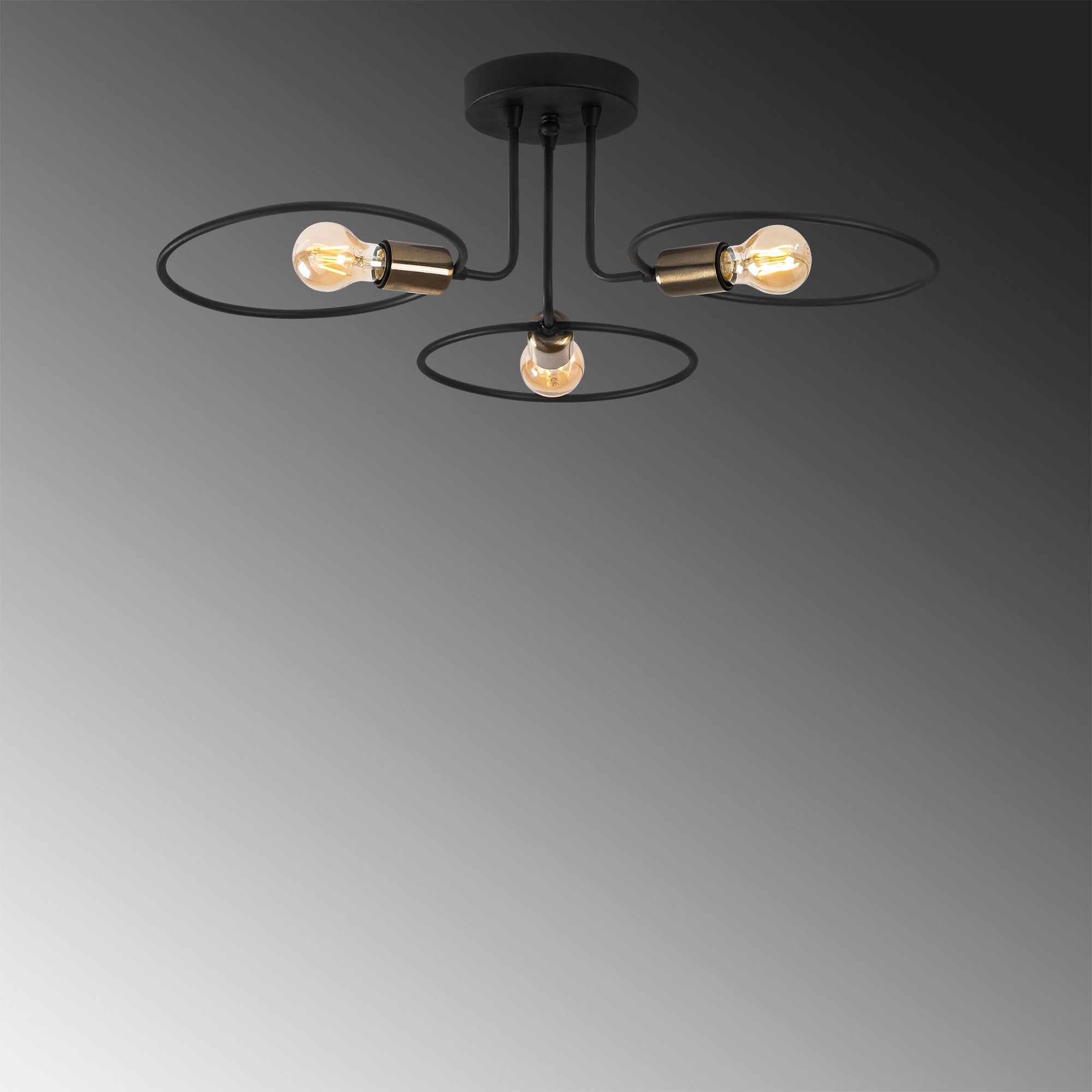 Circle - 1341 in Schwarz präsentiert im Onlineshop von KAQTU Design AG. Pendelleuchte ist von Opviq