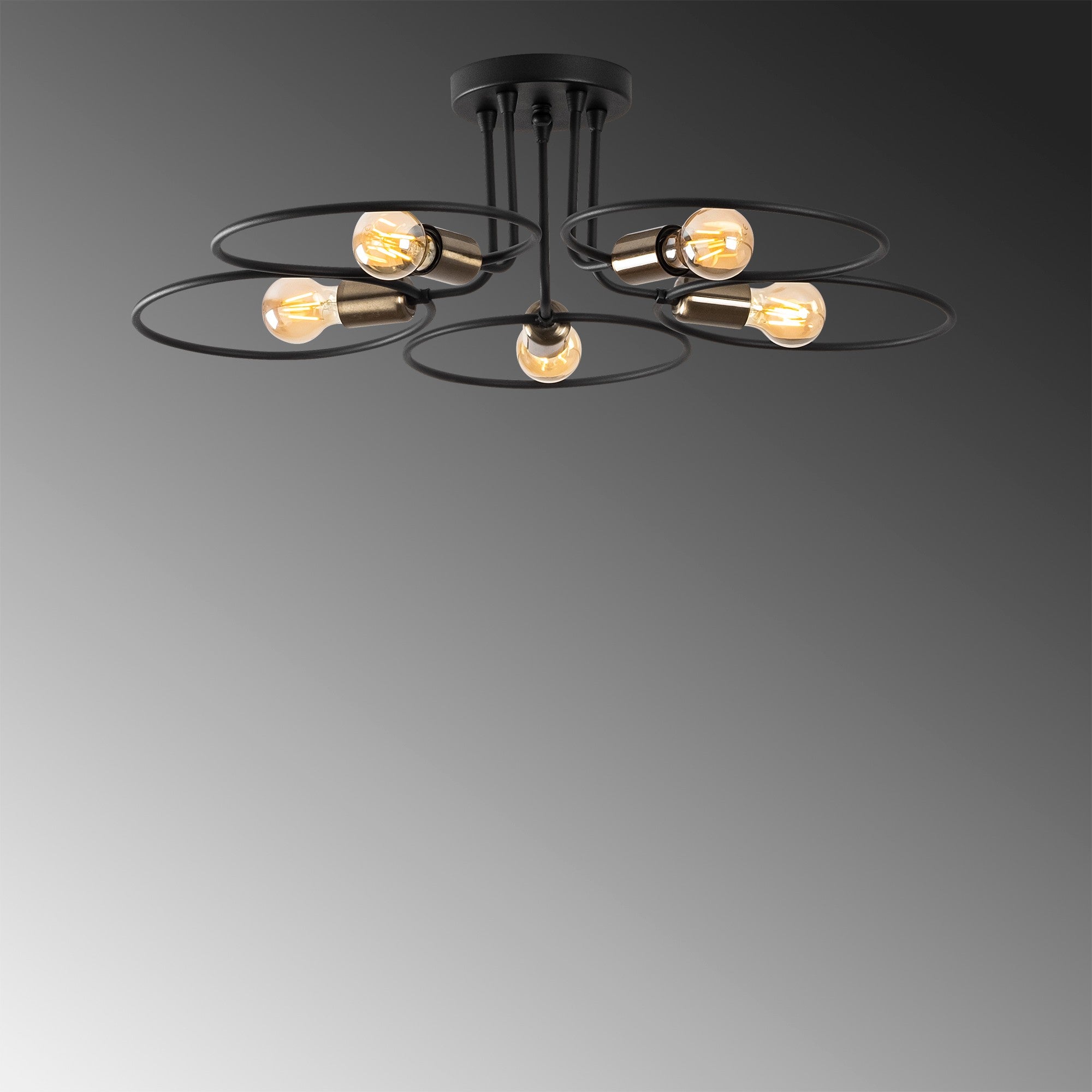 Circle - 1346 in Schwarz präsentiert im Onlineshop von KAQTU Design AG. Deckenleuchte ist von Opviq