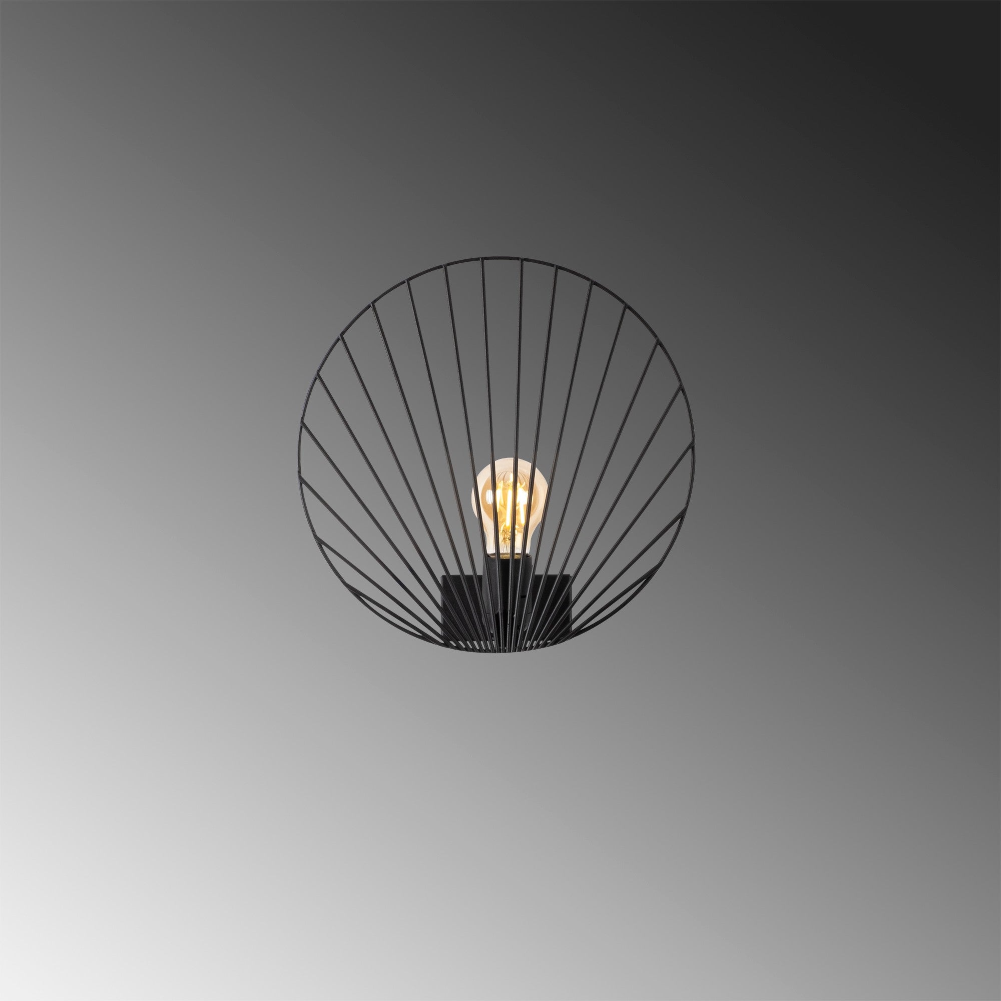 Byisoo - 3291 in Schwarz präsentiert im Onlineshop von KAQTU Design AG. Wandleuchte ist von Opviq