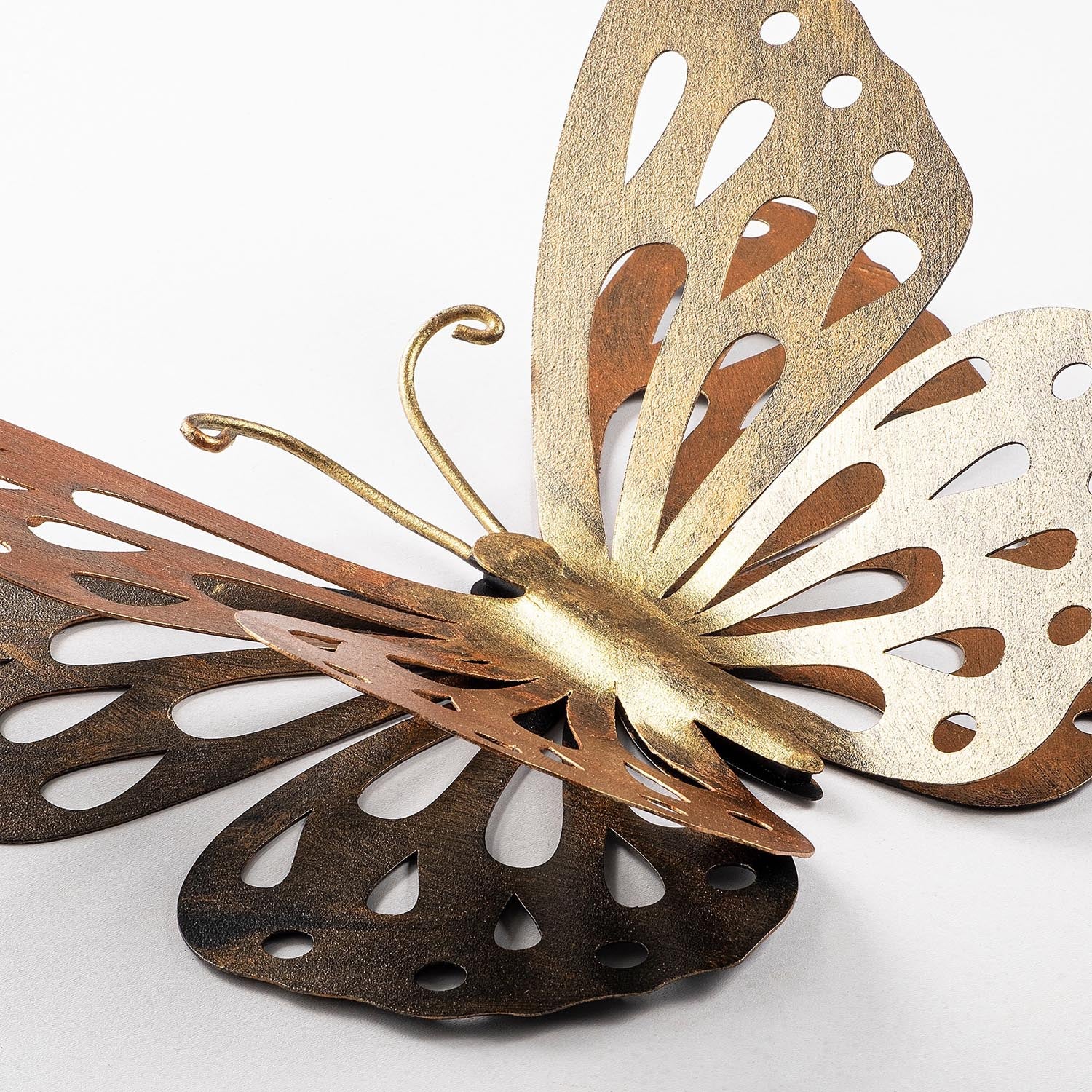 Farfalla 2 in Mehrfarbig präsentiert im Onlineshop von KAQTU Design AG. Wanddeko ist von Wallity