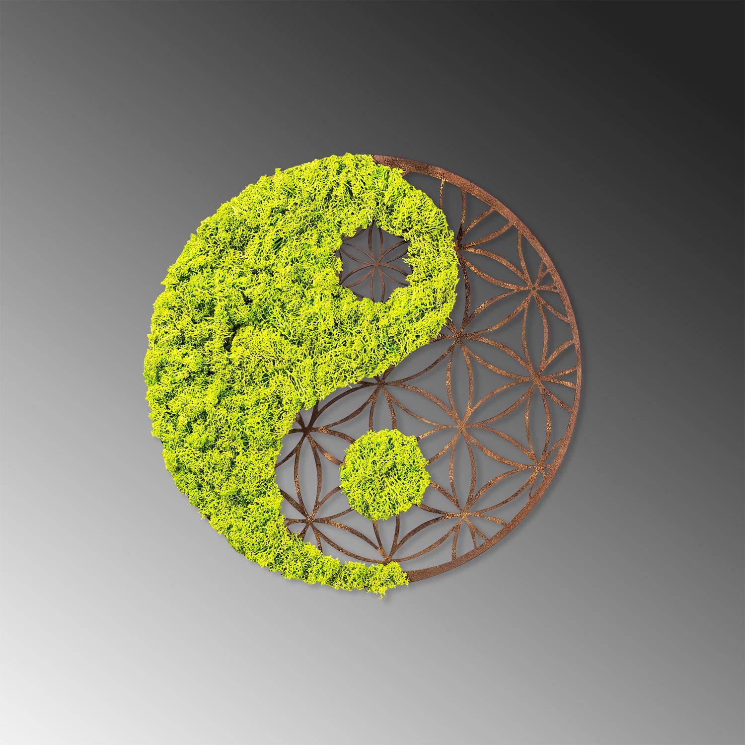 Yin Yang in Grün
 Braun präsentiert im Onlineshop von KAQTU Design AG. Wanddeko ist von Wallity