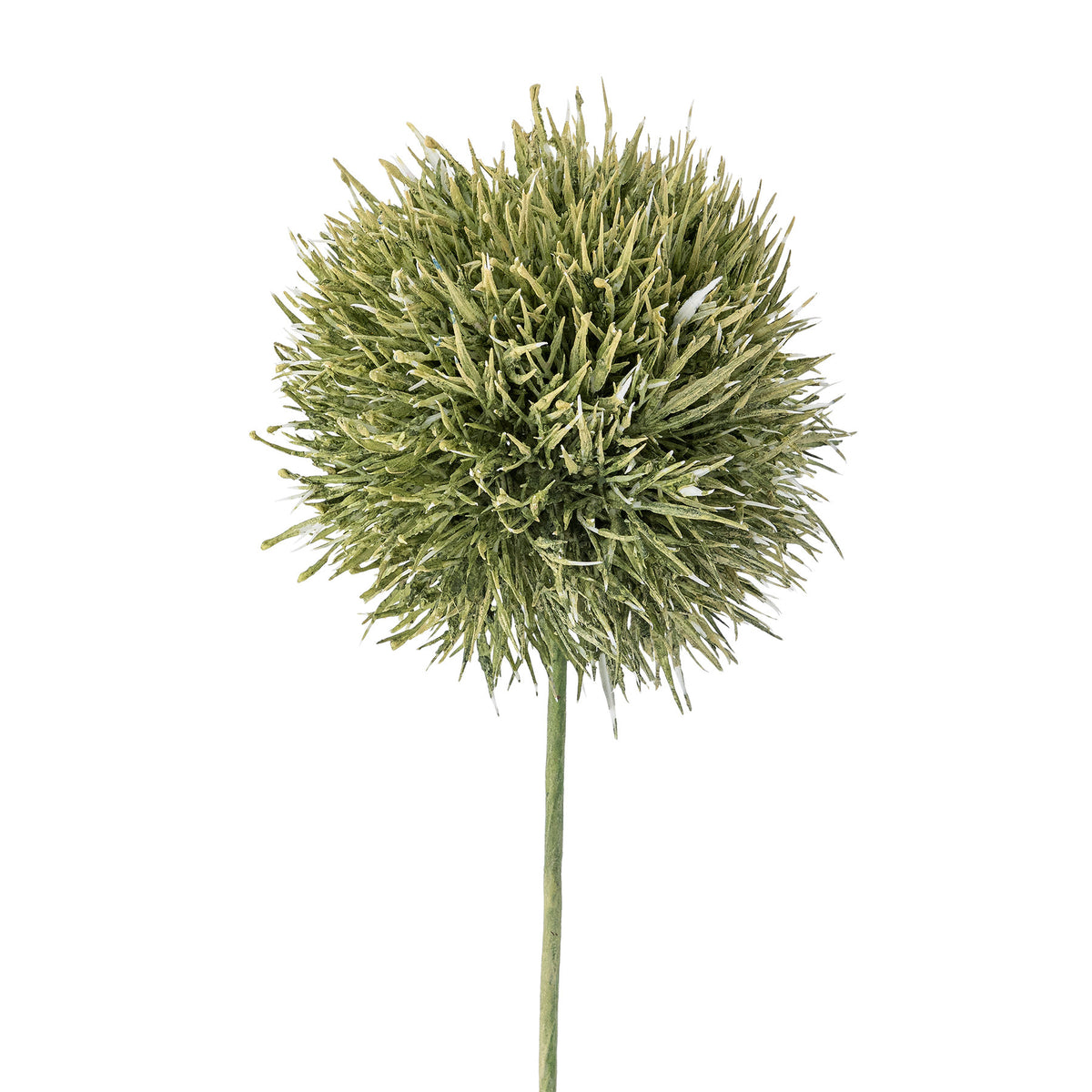 Allium Stiel, Grün, Künstliche Blumen in Grün präsentiert im Onlineshop von KAQTU Design AG. Kunstblume ist von Bloomingville