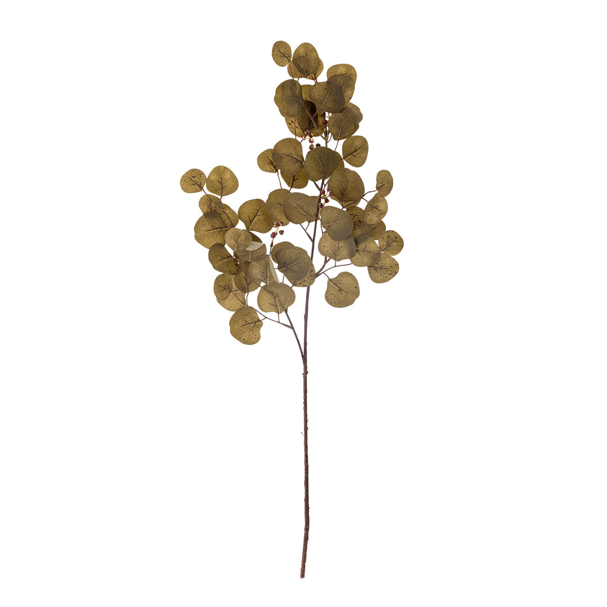Eucalyptus Stiel, Braun, Künstliche Blumen in Braun präsentiert im Onlineshop von KAQTU Design AG. Kunstblume ist von Bloomingville