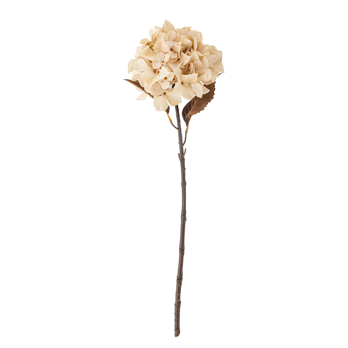 Kunstblume Hydrangea Stiel in Beige von Bloomingville, lebensechte Blüte aus PE, Eisen und Polyester, 65 cm hoch, einzeln stehend fotografiert.