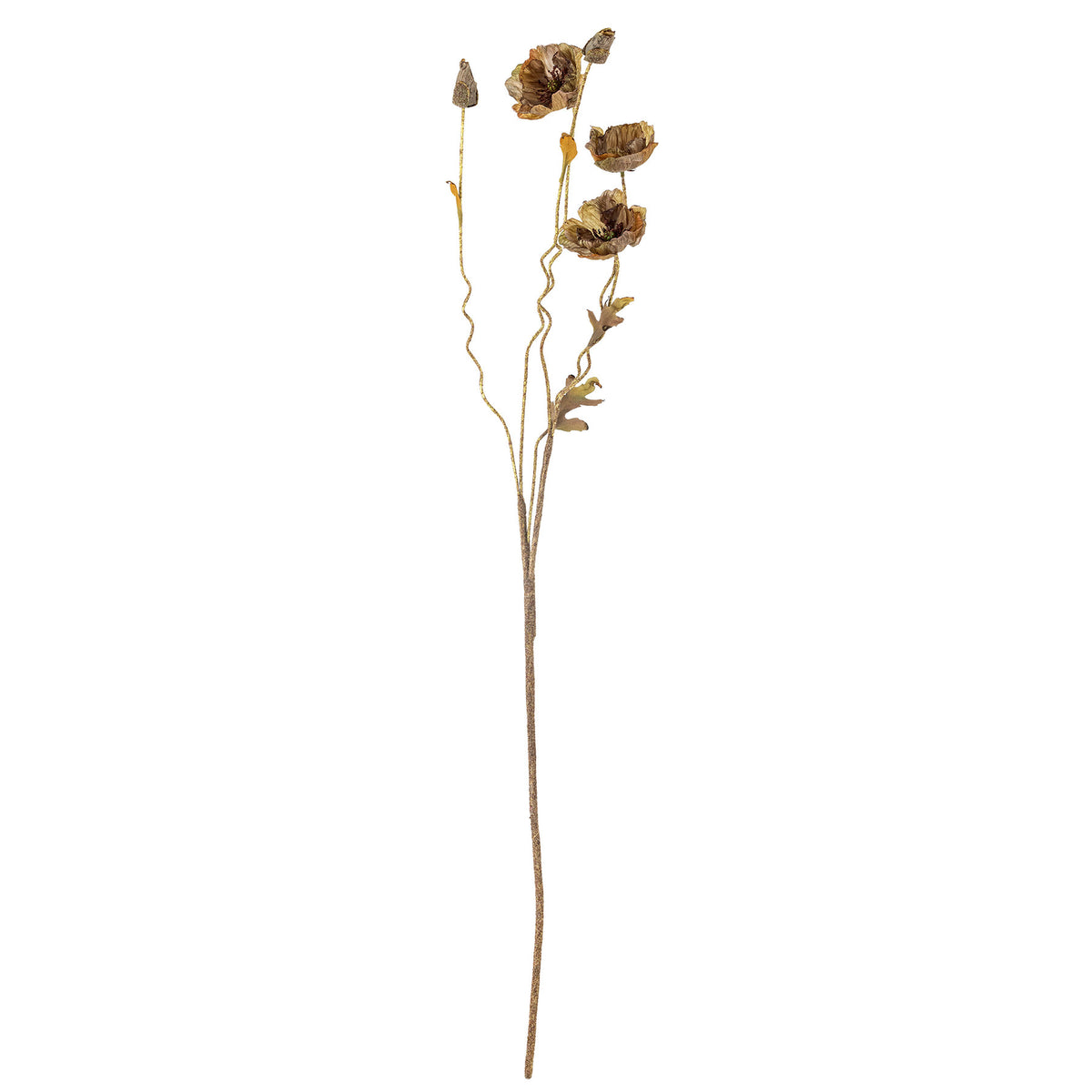 Poppy Stiel, Braun, Künstliche Blumen in Braun präsentiert im Onlineshop von KAQTU Design AG. Kunstblume ist von Bloomingville