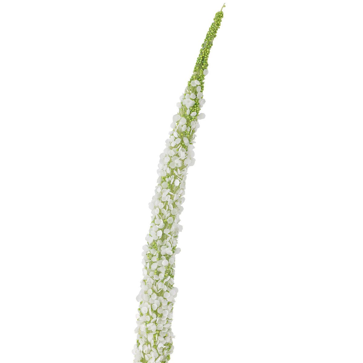 Foxtail Stiel, Weiss, Künstliche Blumen in Weiss präsentiert im Onlineshop von KAQTU Design AG. Kunstblume ist von Bloomingville