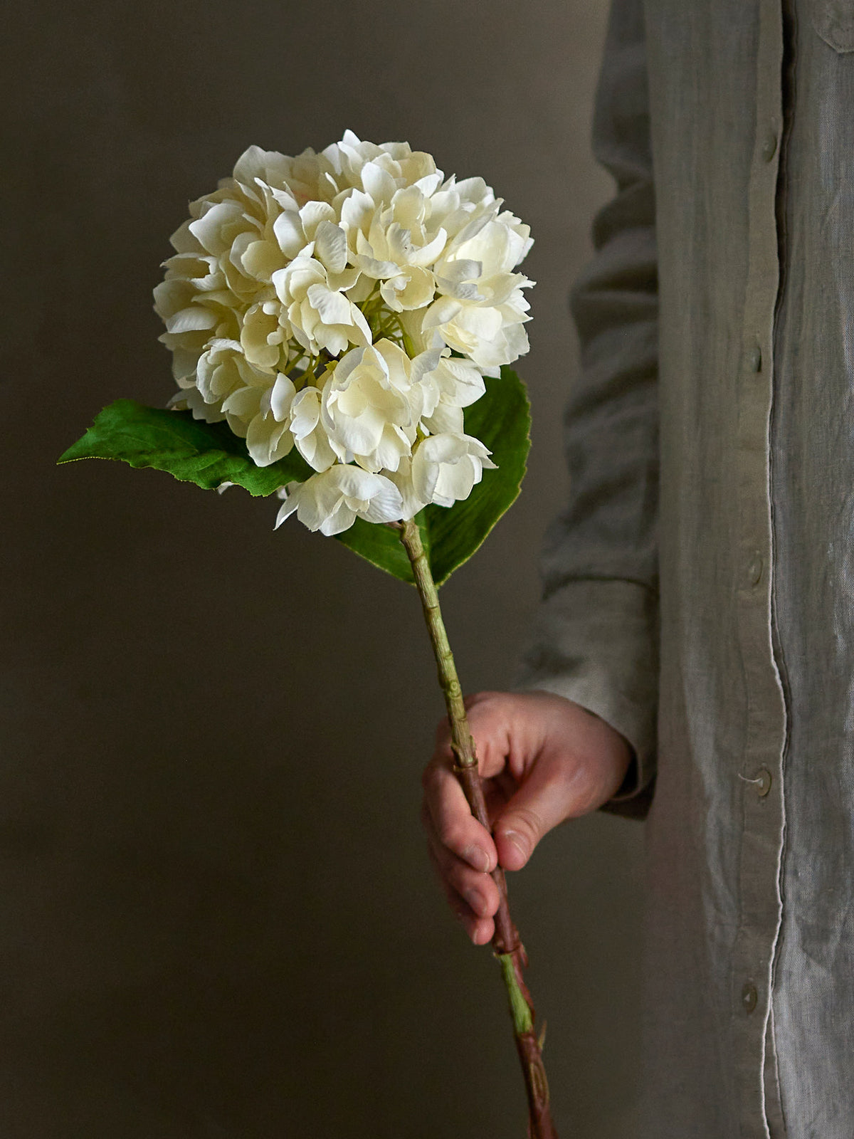 Hydrangea Stiel, Weiss, Künstliche Blumen in Weiss präsentiert im Onlineshop von KAQTU Design AG. Kunstblume ist von Bloomingville
