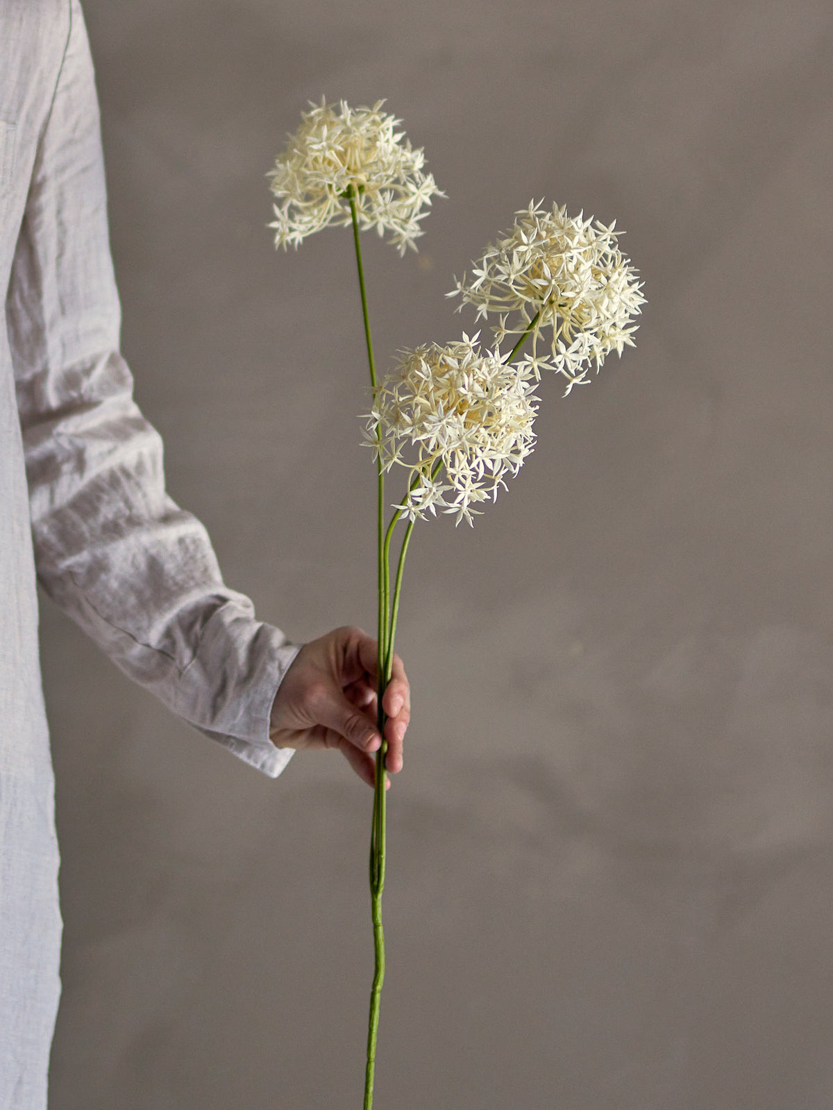 Allium Stiel, Weiss, Künstliche Blumen in Weiss präsentiert im Onlineshop von KAQTU Design AG. Kunstblume ist von Bloomingville