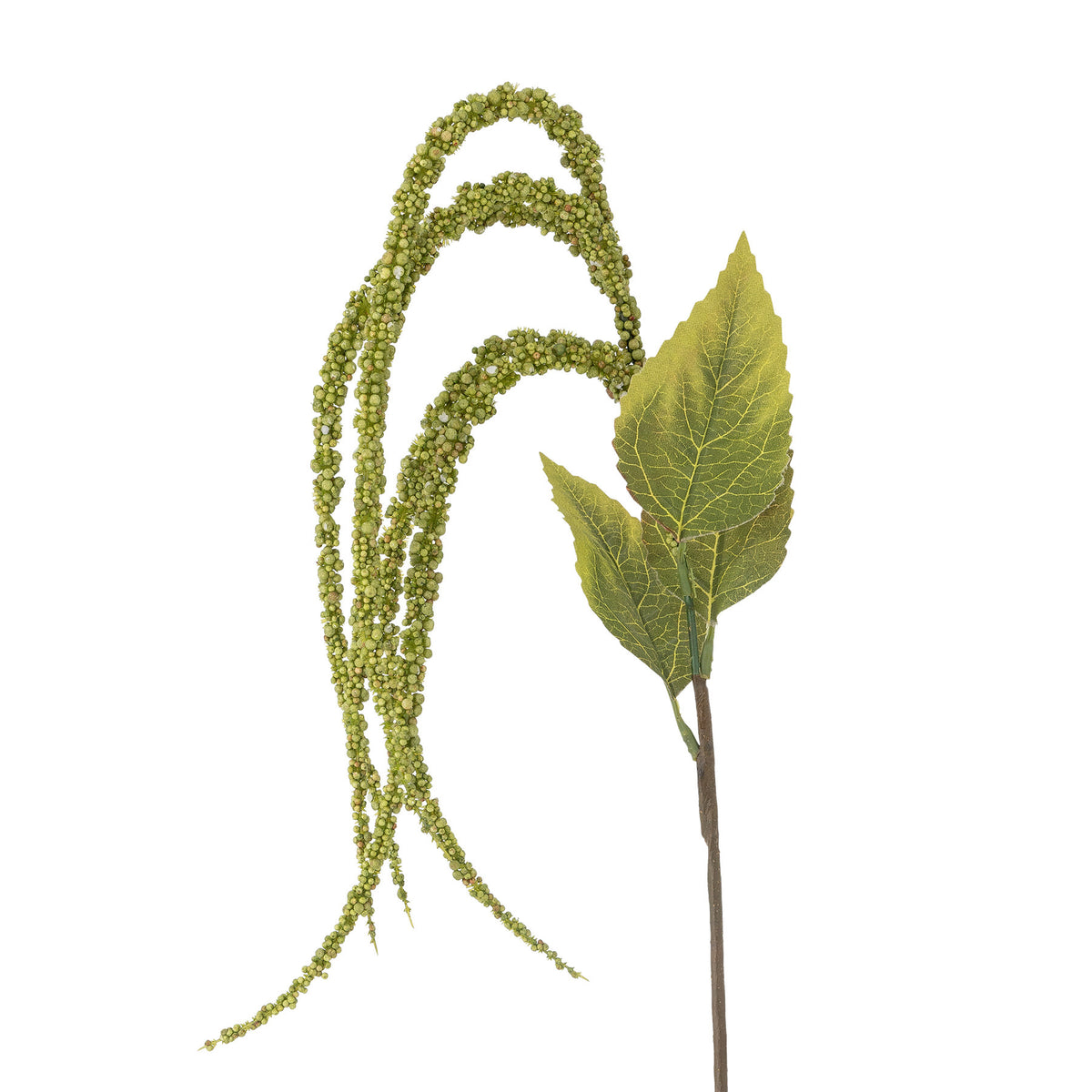 Foxtail Stiel, Grün, Künstliche Blumen in Grün präsentiert im Onlineshop von KAQTU Design AG. Kunstblume ist von Bloomingville