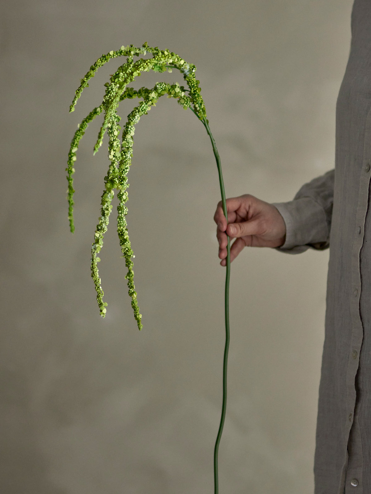 Foxtail Stiel, Grün, Künstliche Blumen in Grün präsentiert im Onlineshop von KAQTU Design AG. Kunstblume ist von Bloomingville