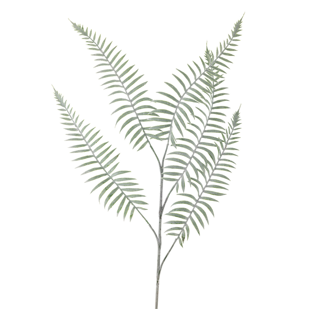 Sago Stiel, Grün, Künstliche Blumen in Grün präsentiert im Onlineshop von KAQTU Design AG. Kunstblume ist von Bloomingville