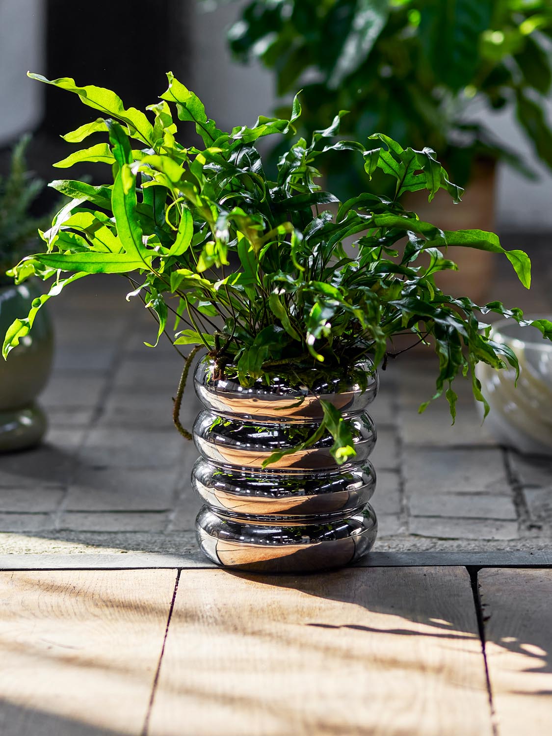 Shine Blumentopf mit Untertasse, Silber, Steingut in Silver präsentiert im Onlineshop von KAQTU Design AG. Pflanzentopf Outdoor ist von Bloomingville