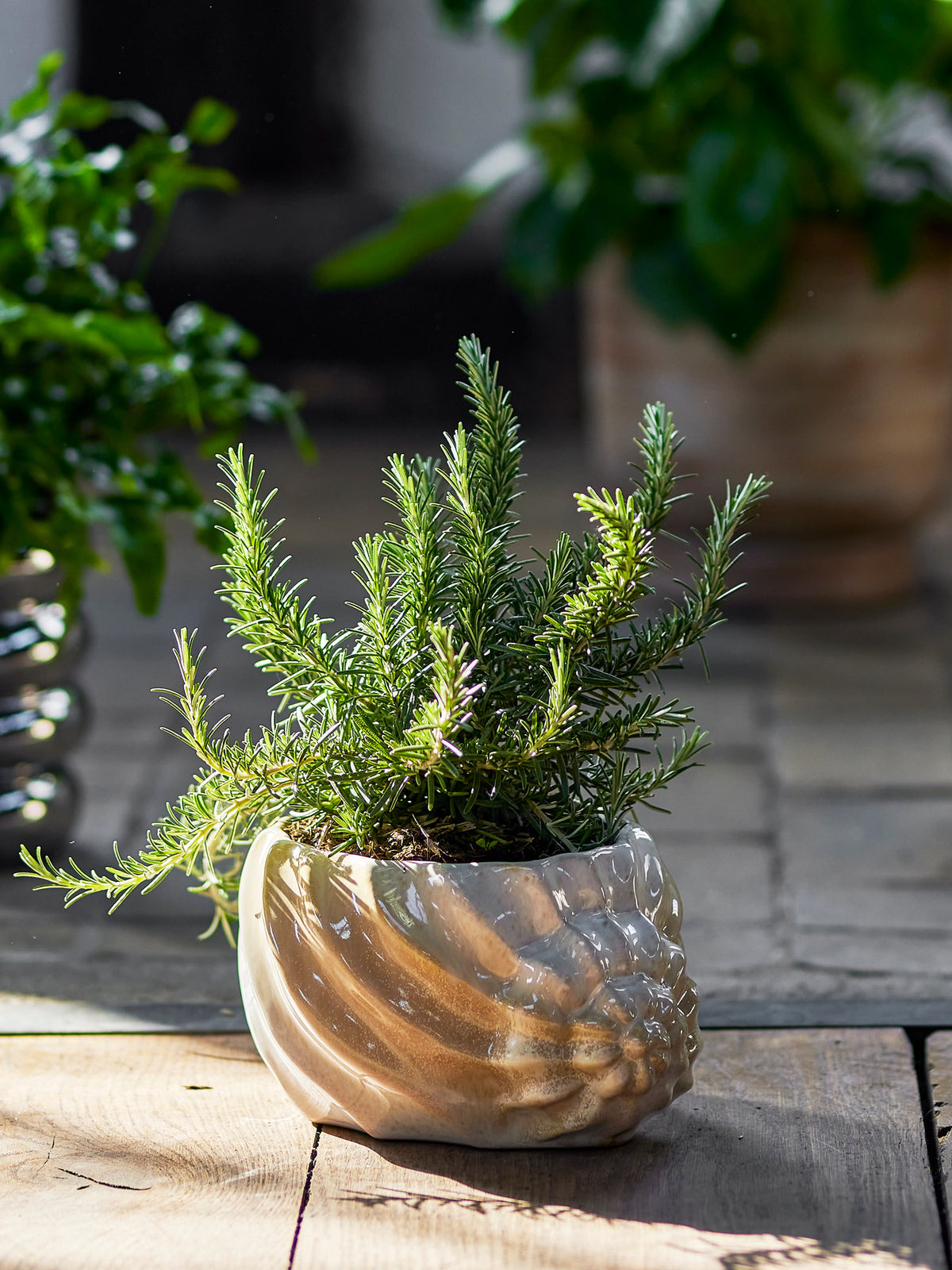 Corelia Blumentopf, Braun, Steingut in Brown präsentiert im Onlineshop von KAQTU Design AG. Blumentopf ist von Bloomingville