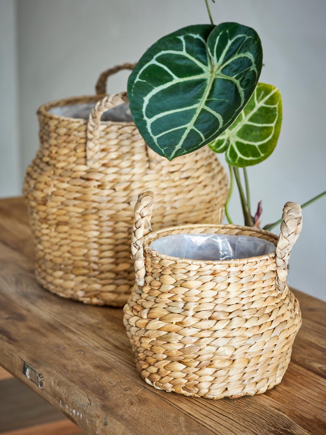 Bjorn Korb, Natur, Wasserhyazinthe in Nature präsentiert im Onlineshop von KAQTU Design AG. Aufbewahrungskorb ist von Bloomingville