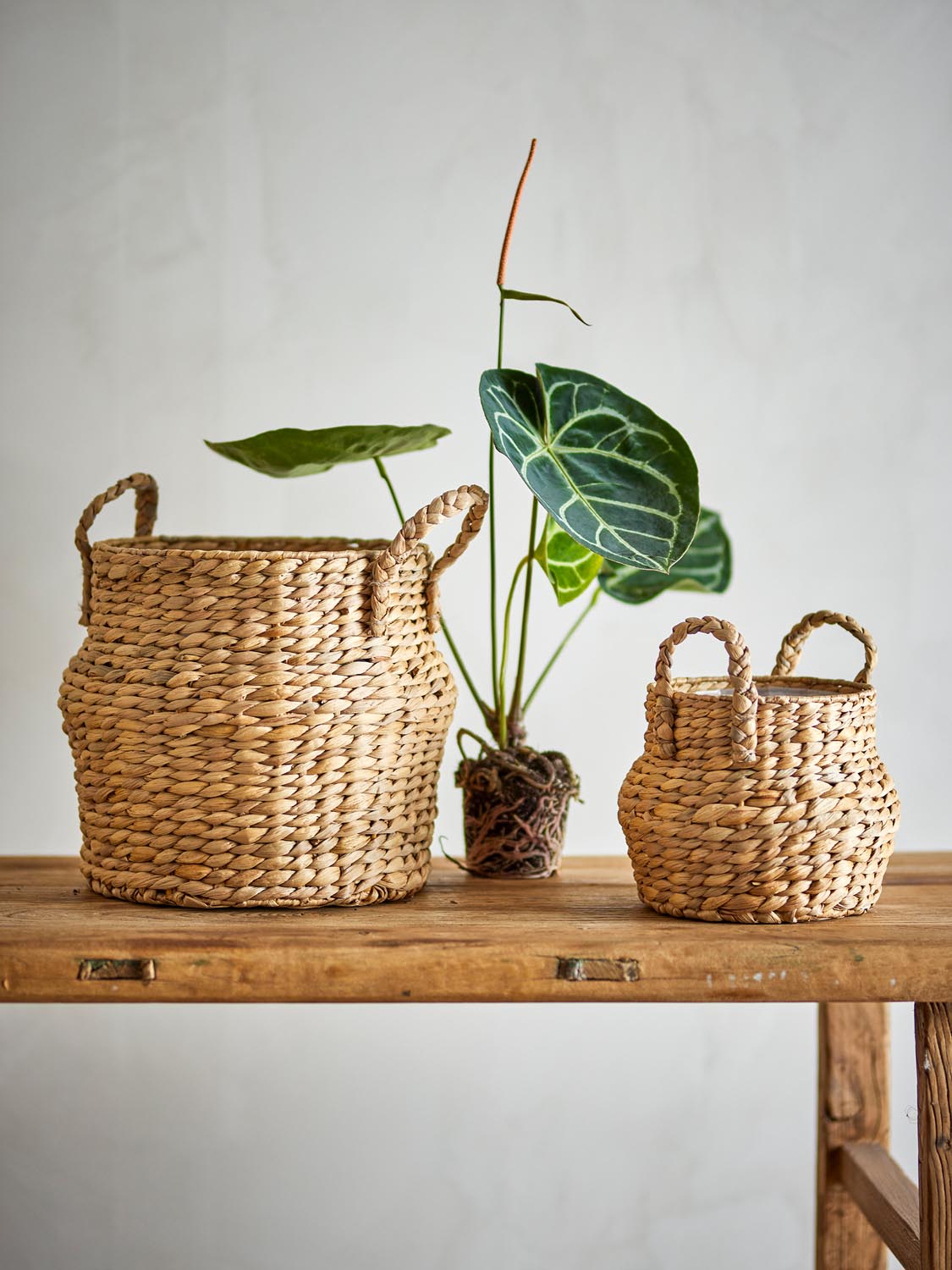 Bjorn Korb, Natur, Wasserhyazinthe in Nature präsentiert im Onlineshop von KAQTU Design AG. Aufbewahrungskorb ist von Bloomingville
