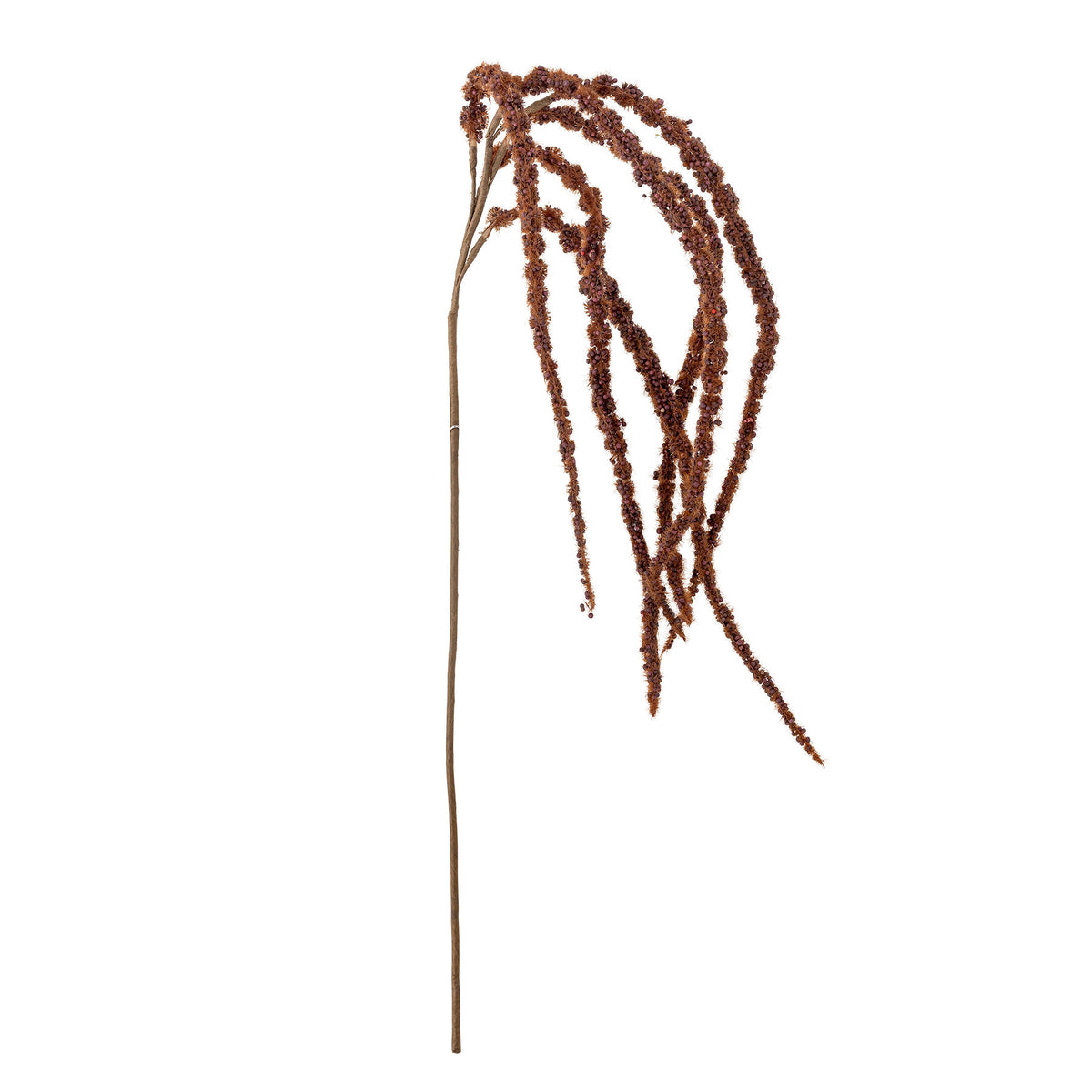 Foxtail Stiel, Braun, Künstliche Blumen in Braun präsentiert im Onlineshop von KAQTU Design AG. Kunstblume ist von Bloomingville