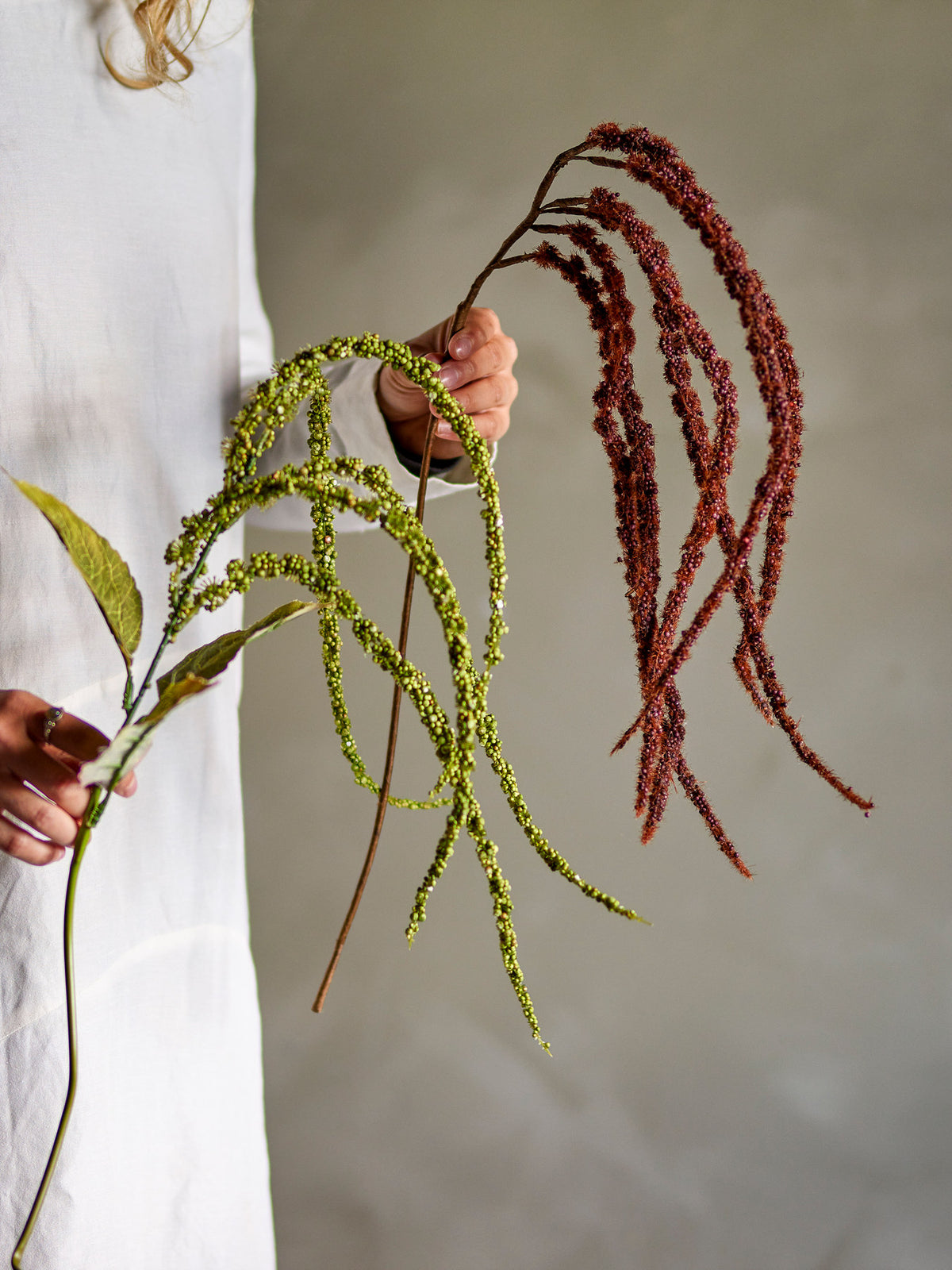 Foxtail Stiel, Braun, Künstliche Blumen in Braun präsentiert im Onlineshop von KAQTU Design AG. Kunstblume ist von Bloomingville