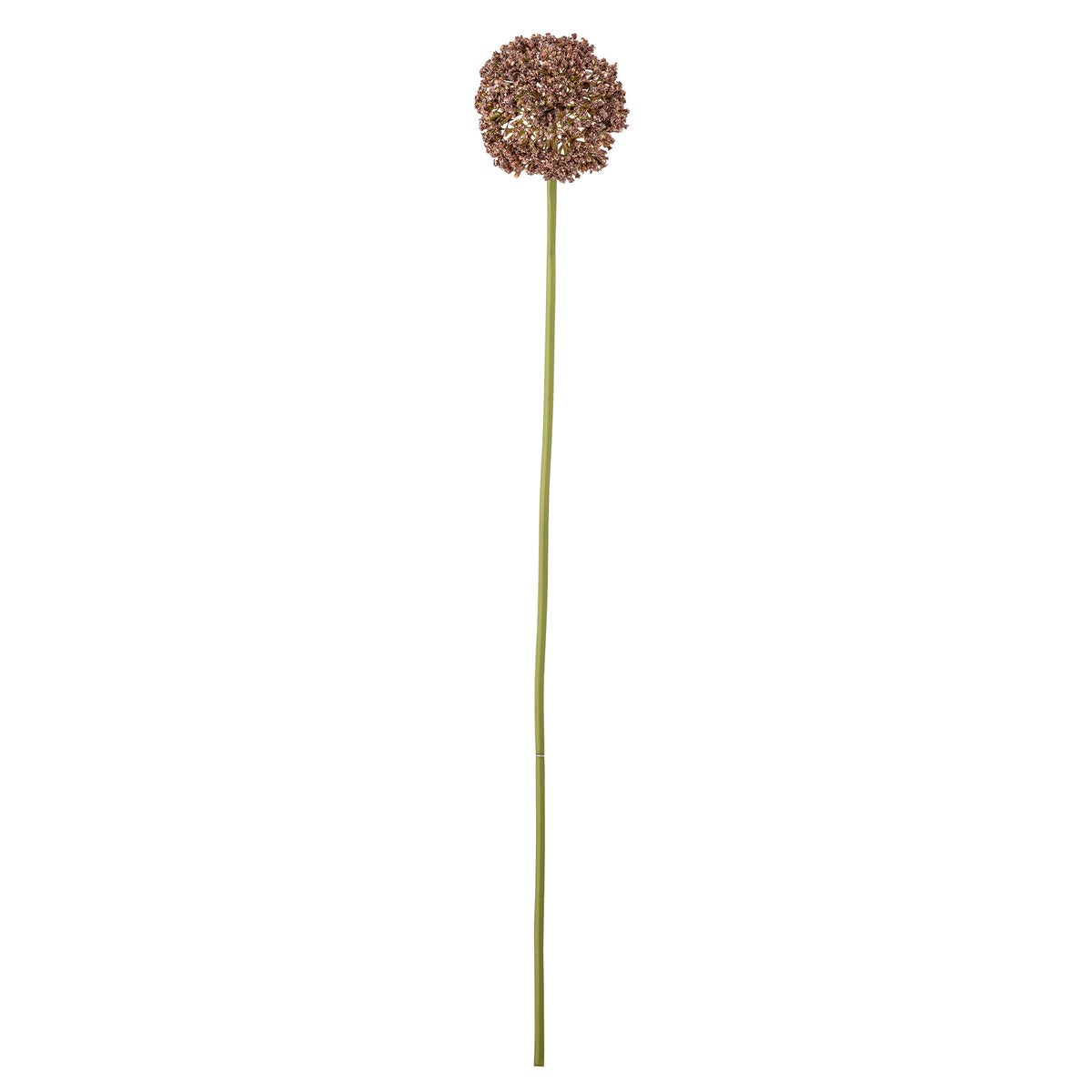 Allium Stiel, Braun, Künstliche Blumen in Braun präsentiert im Onlineshop von KAQTU Design AG. Kunstblume ist von Bloomingville