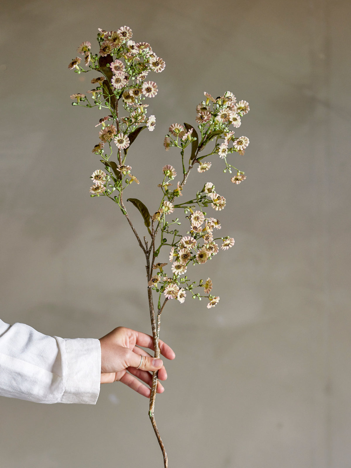Waxflower Stiel, Weiss, Künstliche Blumen in Weiss präsentiert im Onlineshop von KAQTU Design AG. Kunstblume ist von Bloomingville