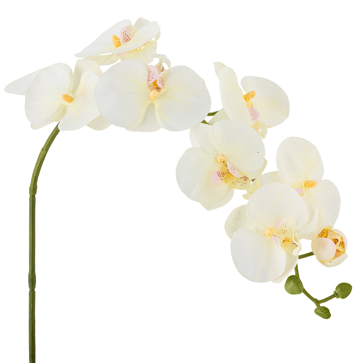 Orchid Stiel, Weiss, Künstliche Blumen in Weiß präsentiert im Onlineshop von KAQTU Design AG. Kunstblume ist von Bloomingville