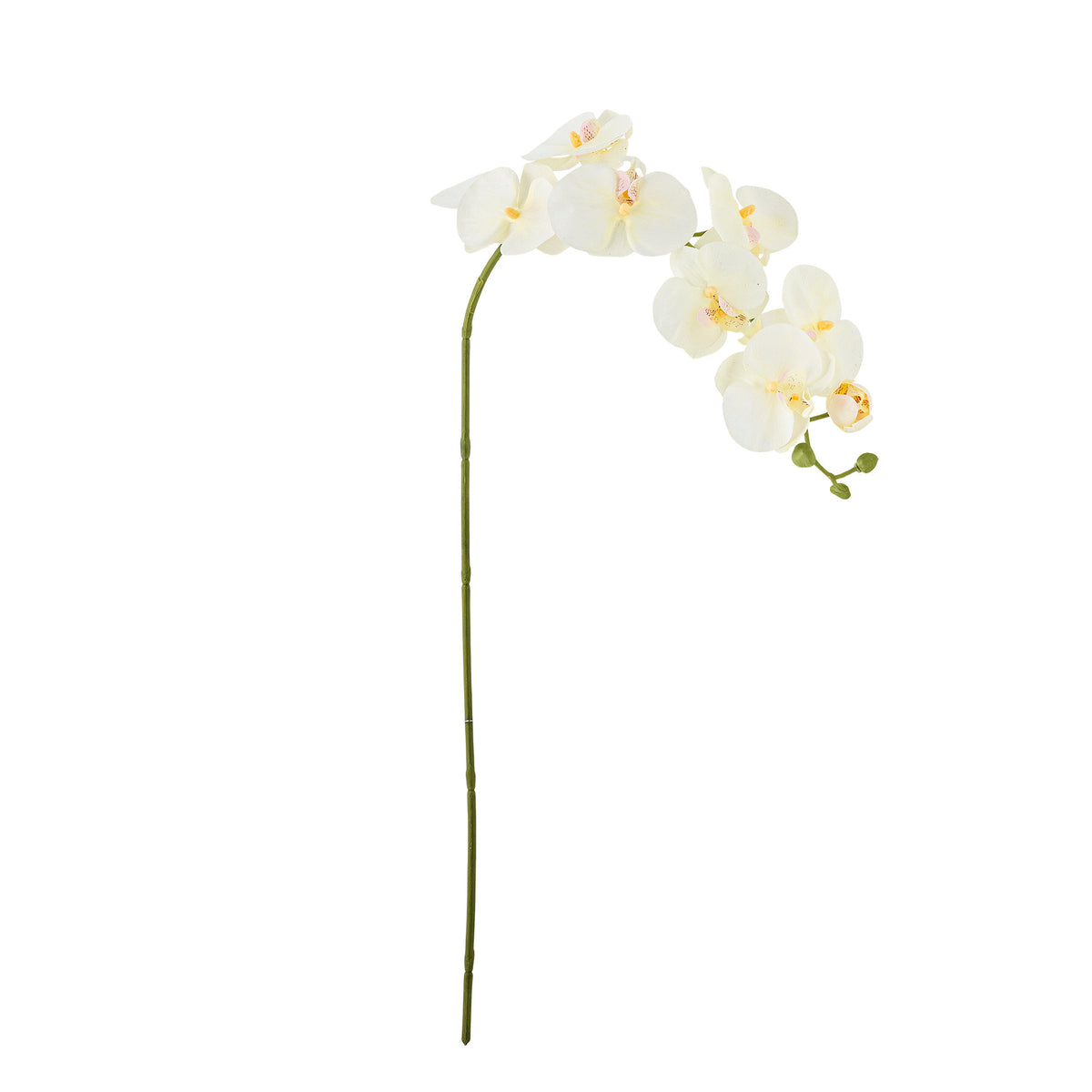Orchid Stiel, Weiss, Künstliche Blumen in Weiß präsentiert im Onlineshop von KAQTU Design AG. Kunstblume ist von Bloomingville
