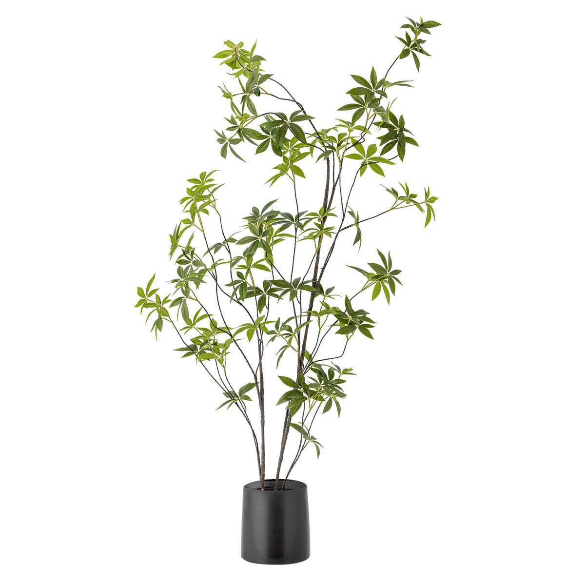 Palmatum Pflanze, Grün, Künstliche Blumen in Green präsentiert im Onlineshop von KAQTU Design AG. Kunstpflanze ist von Bloomingville
