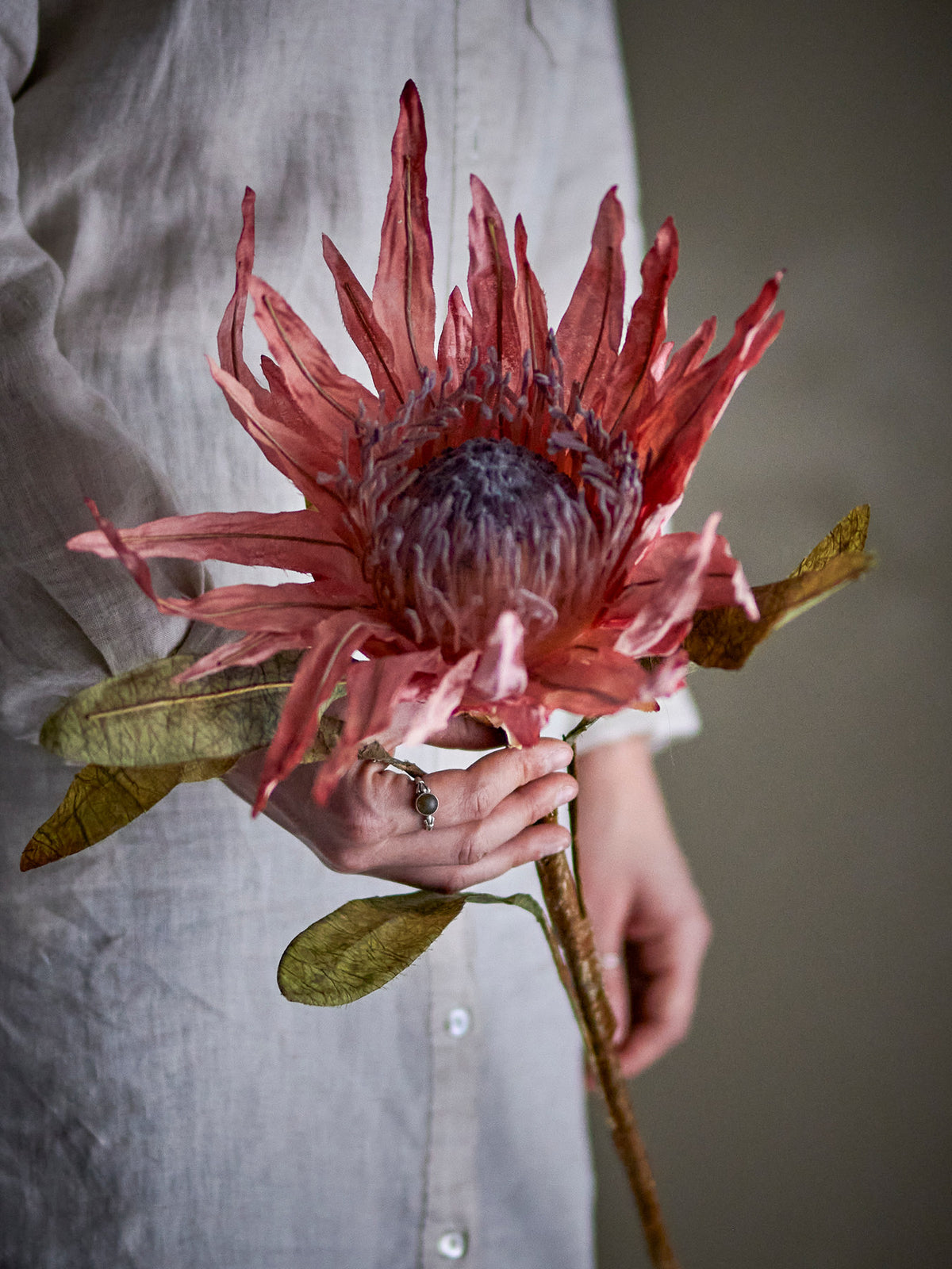 Protea Stiel, Rose, Künstliche Blumen in Rose präsentiert im Onlineshop von KAQTU Design AG. Kunstblume ist von Bloomingville