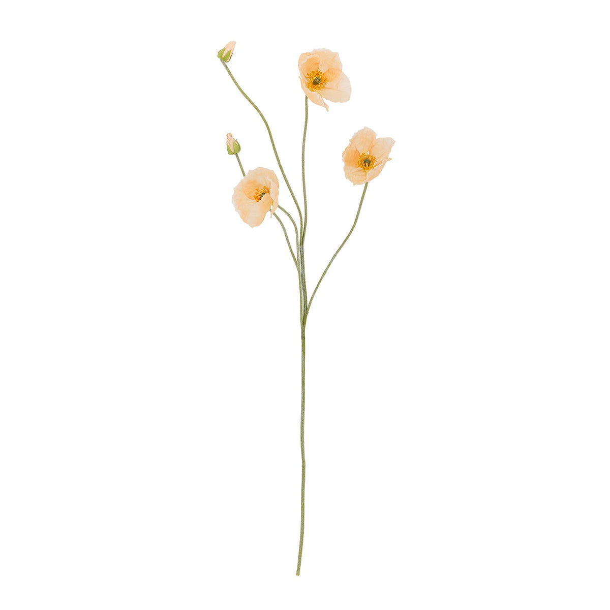 Poppy Stiel, Natur, Künstliche Blumen in Nature präsentiert im Onlineshop von KAQTU Design AG. Kunstpflanze ist von Bloomingville