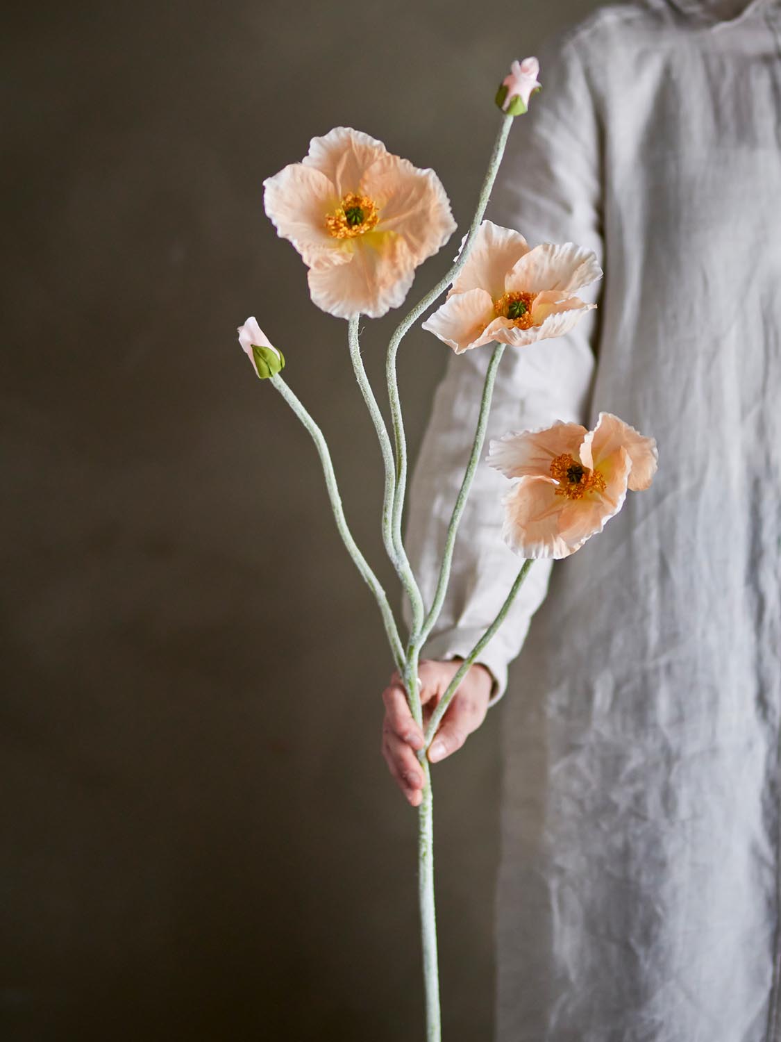 Poppy Stiel, Natur, Künstliche Blumen in Nature präsentiert im Onlineshop von KAQTU Design AG. Kunstpflanze ist von Bloomingville