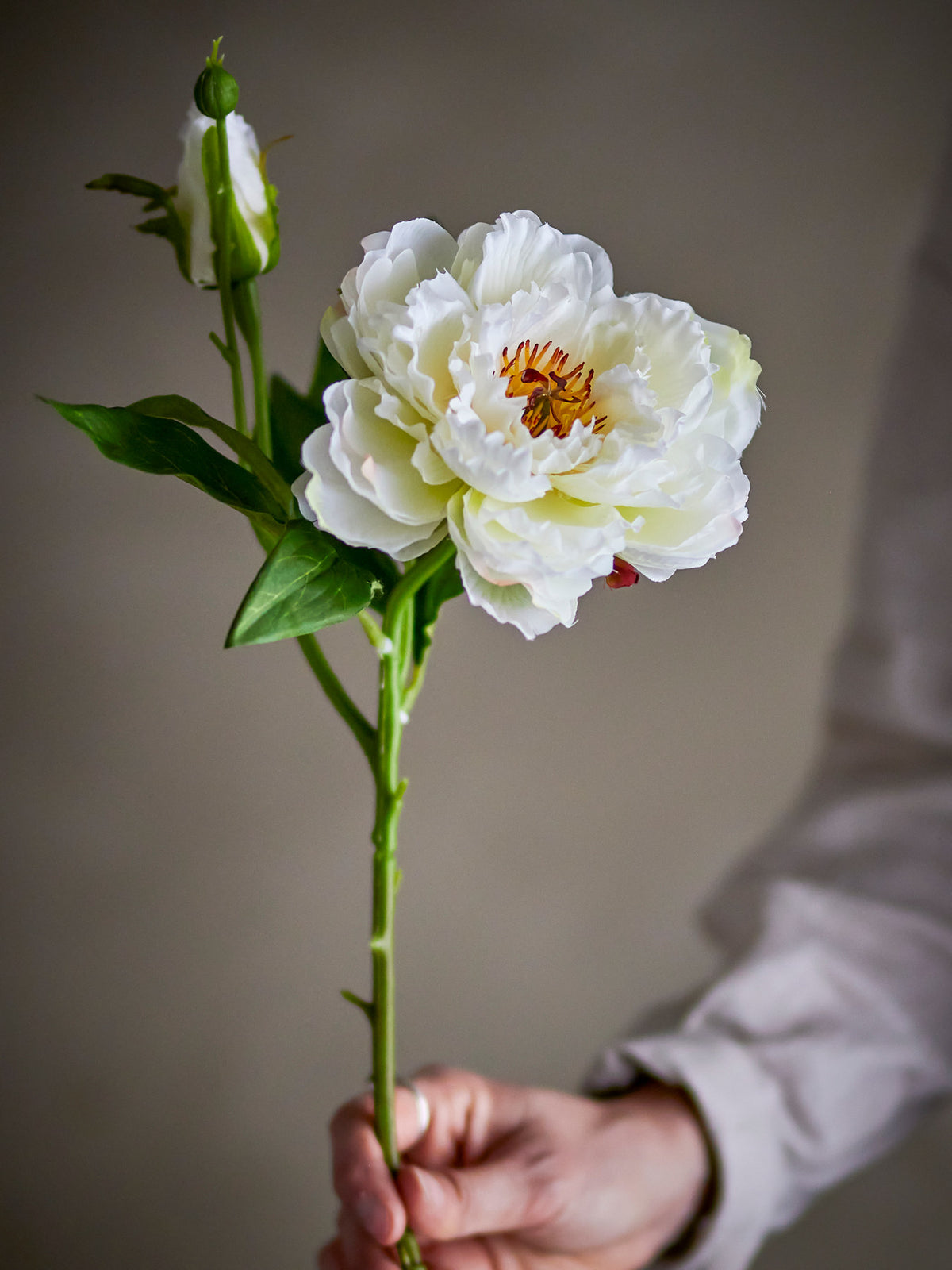 Peony Stiel, Weiss, Künstliche Blumen in White präsentiert im Onlineshop von KAQTU Design AG. Kunstblume ist von Bloomingville