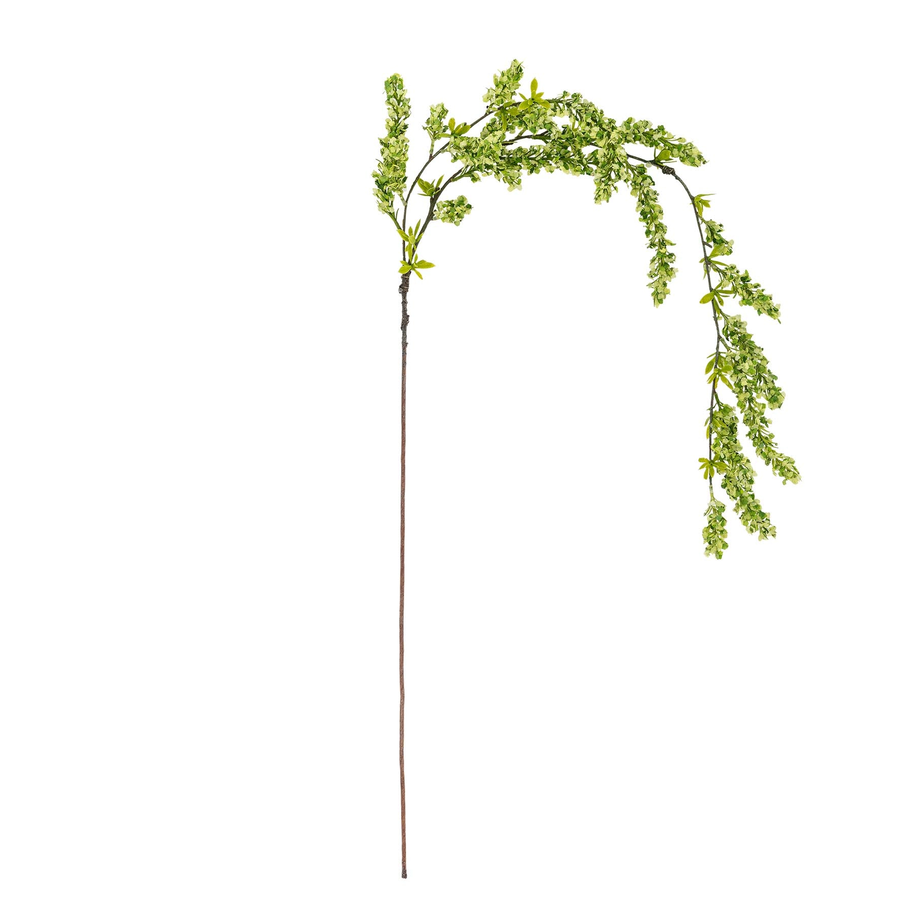 Reed Stiel, Grün, Künstliche Blumen in Green präsentiert im Onlineshop von KAQTU Design AG. Kunstpflanze ist von Bloomingville