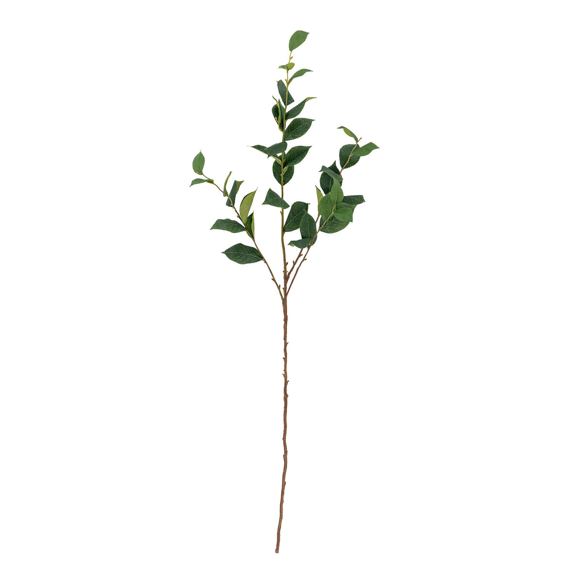 Eucalyptus Stiel, Grün, Künstliche Blumen in Green präsentiert im Onlineshop von KAQTU Design AG. Kunstpflanze ist von Bloomingville