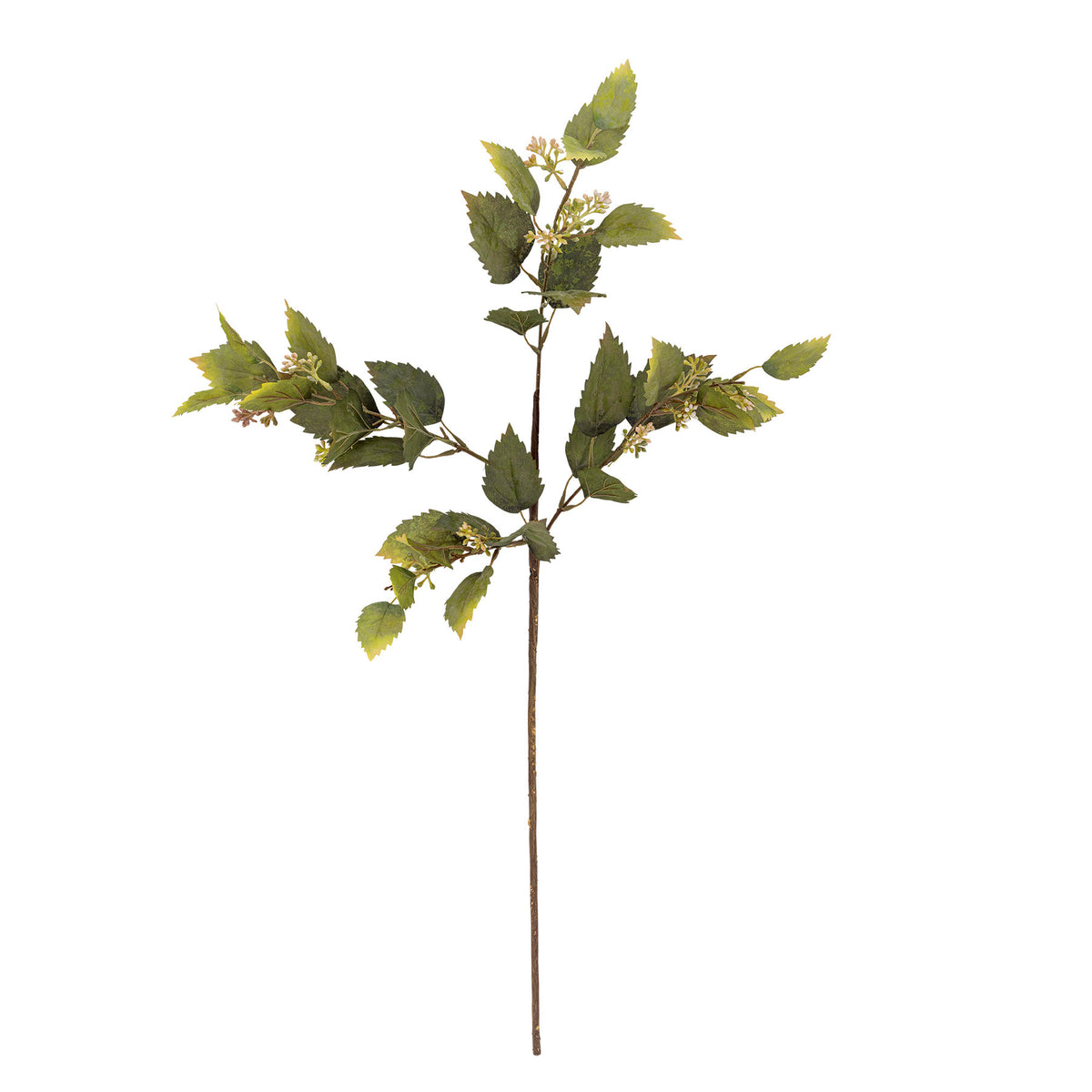 Eucalyptus Stiel, Grün, Künstliche Blumen in Green präsentiert im Onlineshop von KAQTU Design AG. Kunstpflanze ist von Bloomingville
