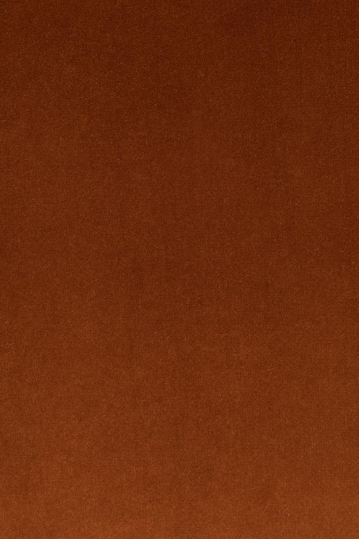 SO CURVY Loungesessel in orange präsentiert im Onlineshop von KAQTU Design AG. Sessel ist von Bold Monkey