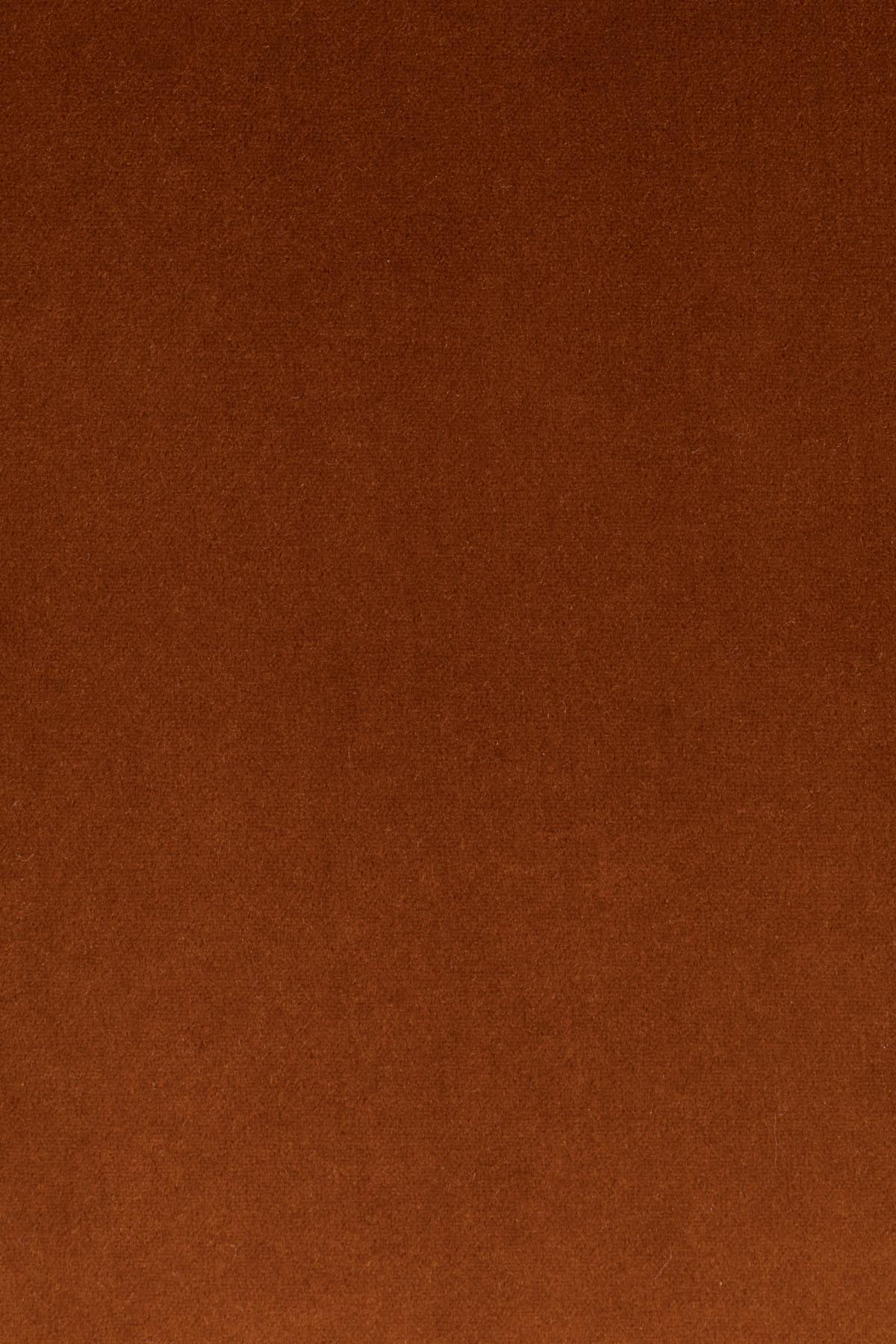 SO CURVY Loungesessel in orange präsentiert im Onlineshop von KAQTU Design AG. Sessel ist von Bold Monkey