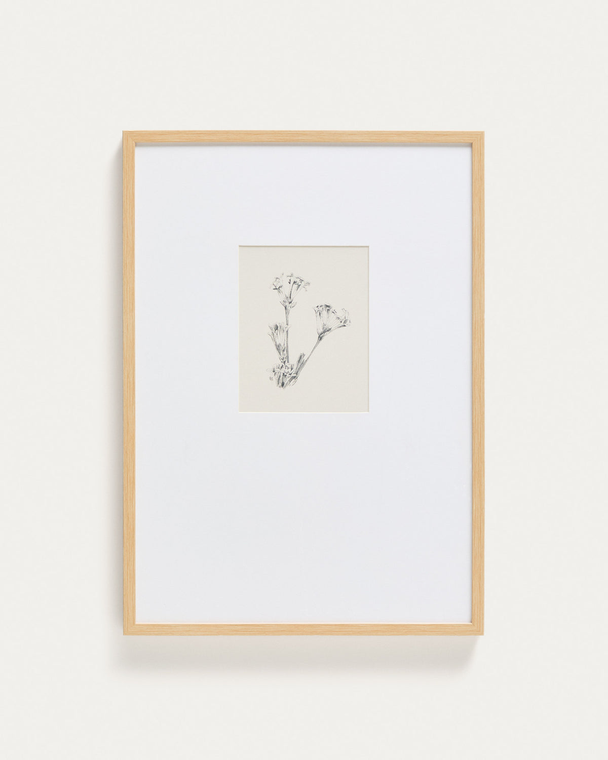 Bild Lirena, botanische Illustration, 50 x 70 cm in Beige, Weiss präsentiert im Onlineshop von KAQTU Design AG. Bild ist von Kave Home