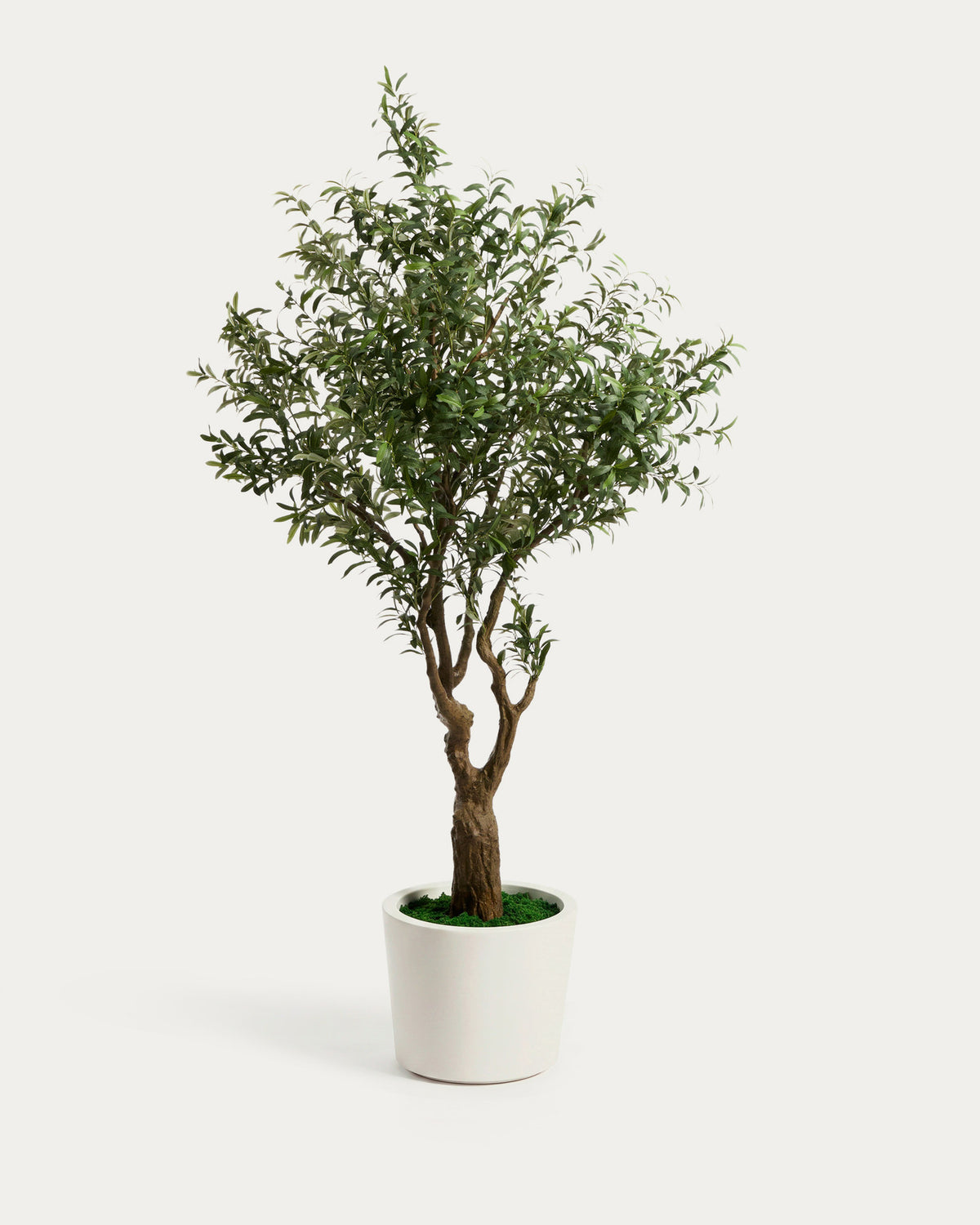 Künstlicher Olivenbaum mit weissem Topf, 250 cm in Weiss präsentiert im Onlineshop von KAQTU Design AG. Kunstpflanze ist von Kave Home