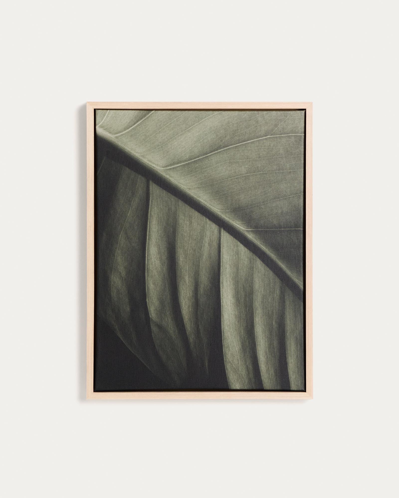Bild Foliae – Fotografie eines Blatts, 32,5 x 42,5 cm in Grün präsentiert im Onlineshop von KAQTU Design AG. Bild ist von Kave Home