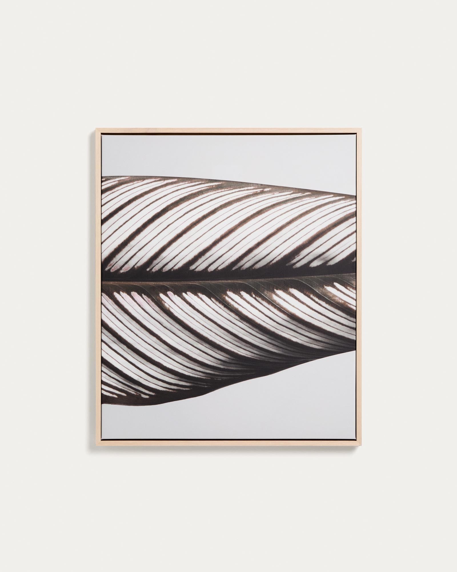 Bild Foliae – Fotografie eines Blatts, 52,5 x 62,5 cm in Weiss präsentiert im Onlineshop von KAQTU Design AG. Bild ist von Kave Home