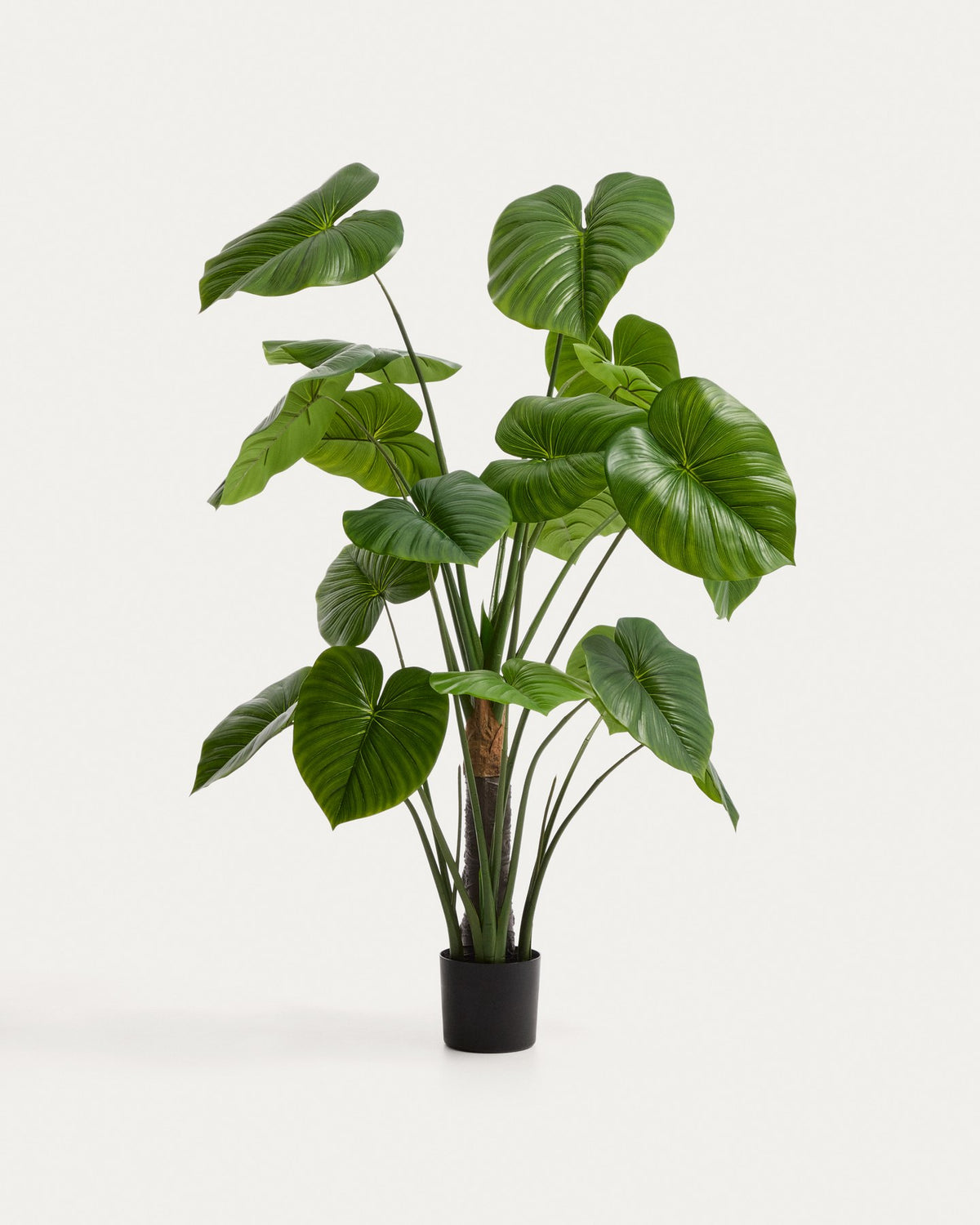 Künstliche Monstera-Pflanze mit langen, geschwungenen grünen Blättern aus Polyethylen in schwarzem Blumentopf, Höhe 185 cm.