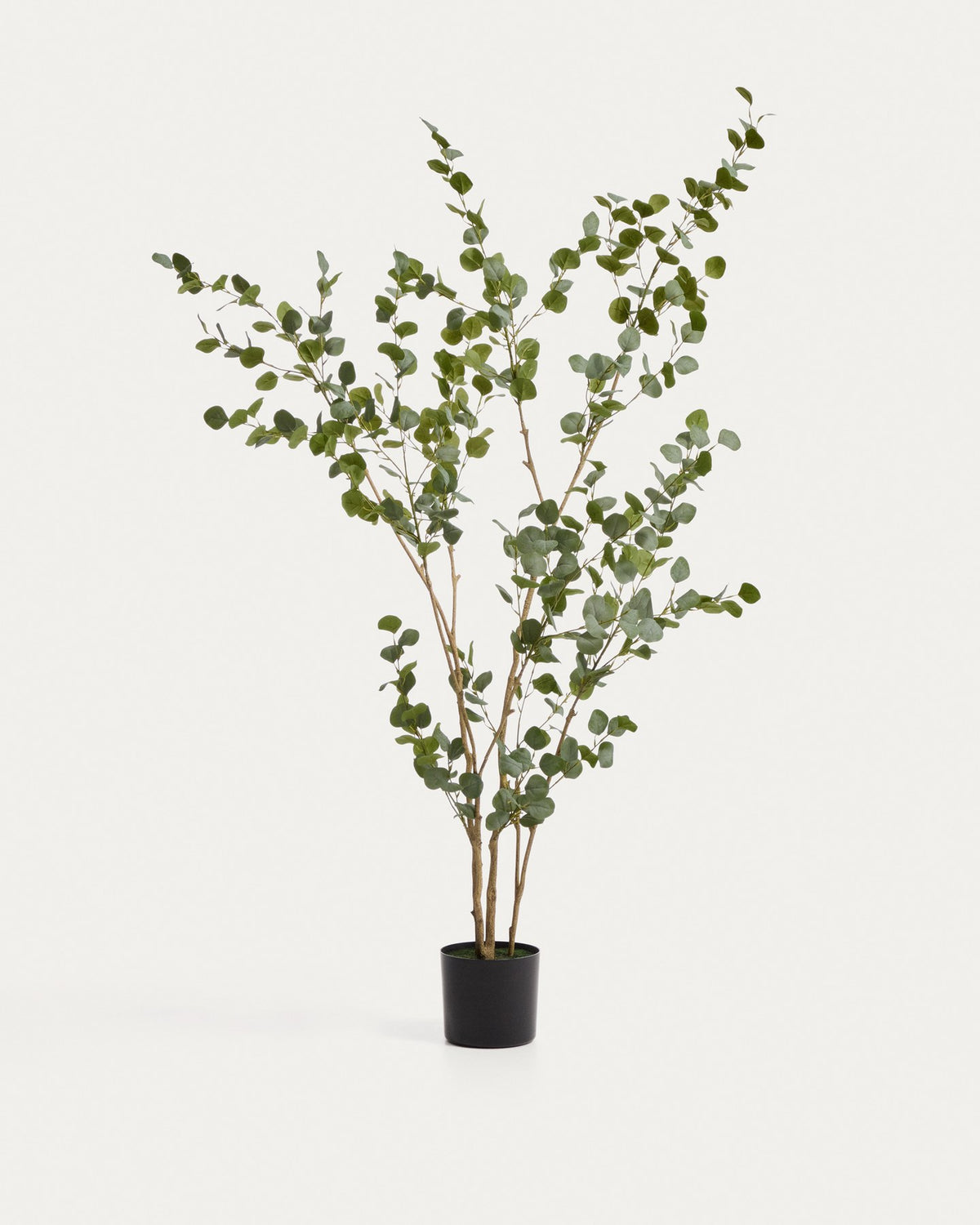 Künstlicher Eucalyptus-Baum mit schwarzem Blumentopf, 210 cm hoch, aus Polyethylen und Polyurethan, mit geschwungenen grünen Blättern.